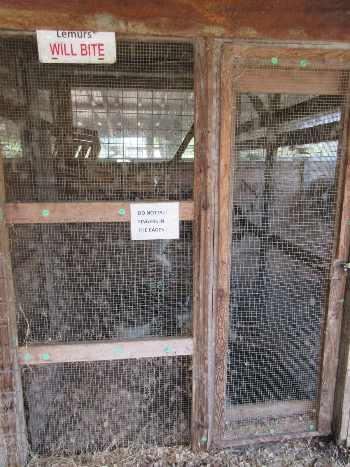 Ring-Tailed Lemur Exhibit (indoor exhibit that is covered with feathers and
