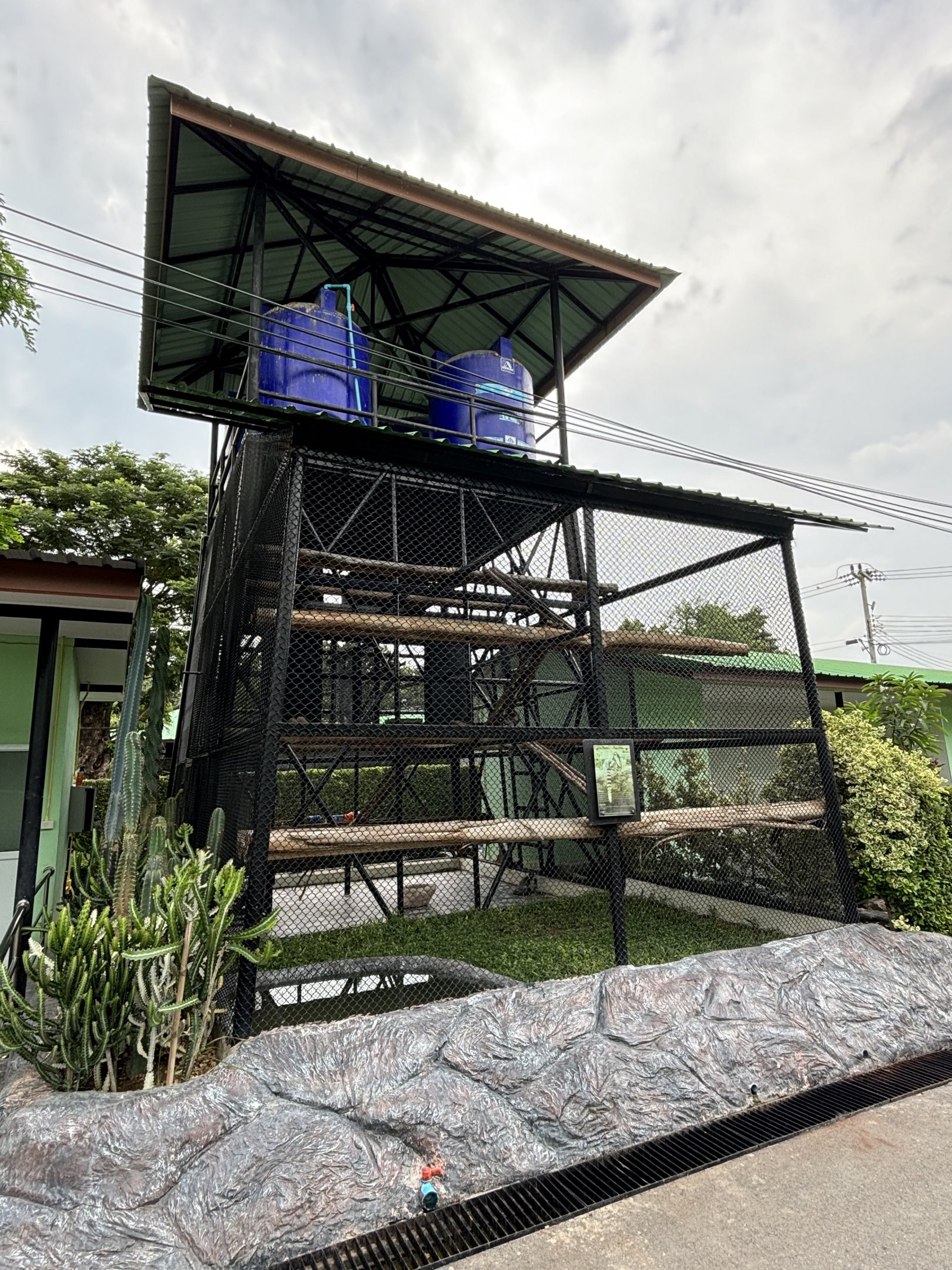 Ring-tailed Lemur Exhibit - Lion Park