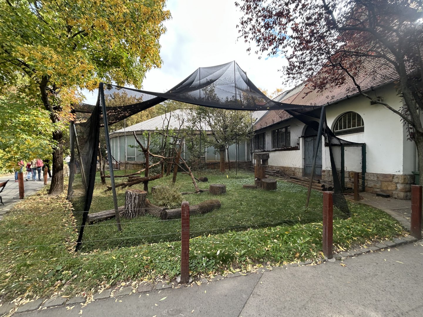 Ring-tailed Lemur Exhibit - Madagascar House