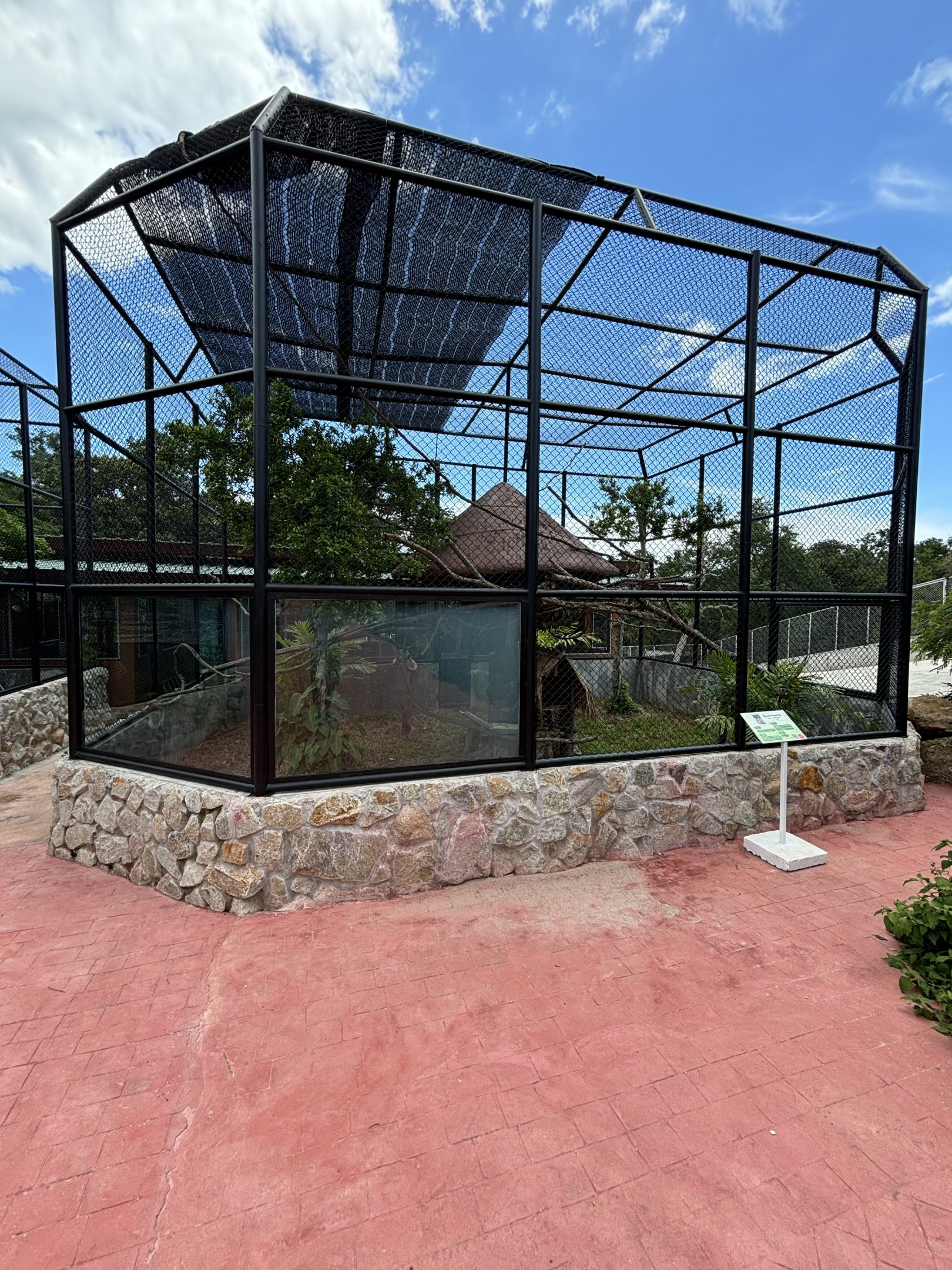 Ring-tailed Lemur Exhibit (New in 2024)