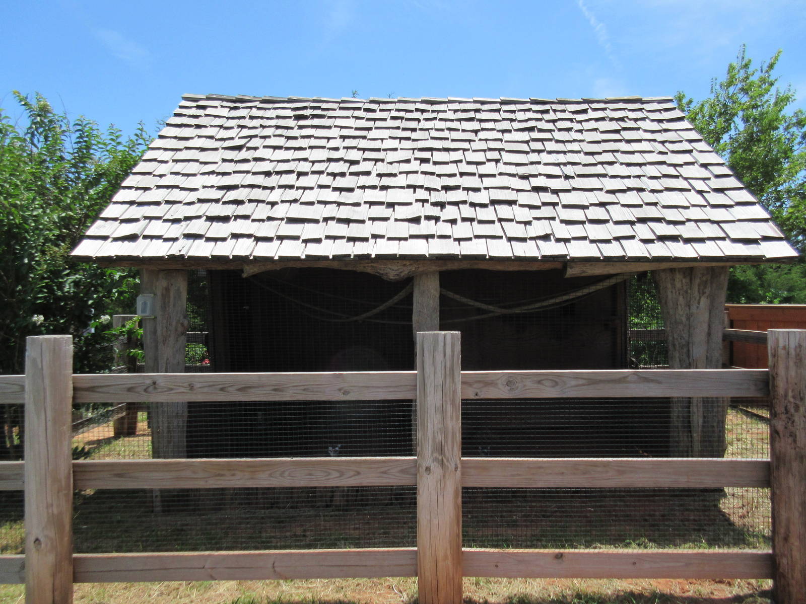 Ring-Tailed Lemur Exhibit (one of at least 5)