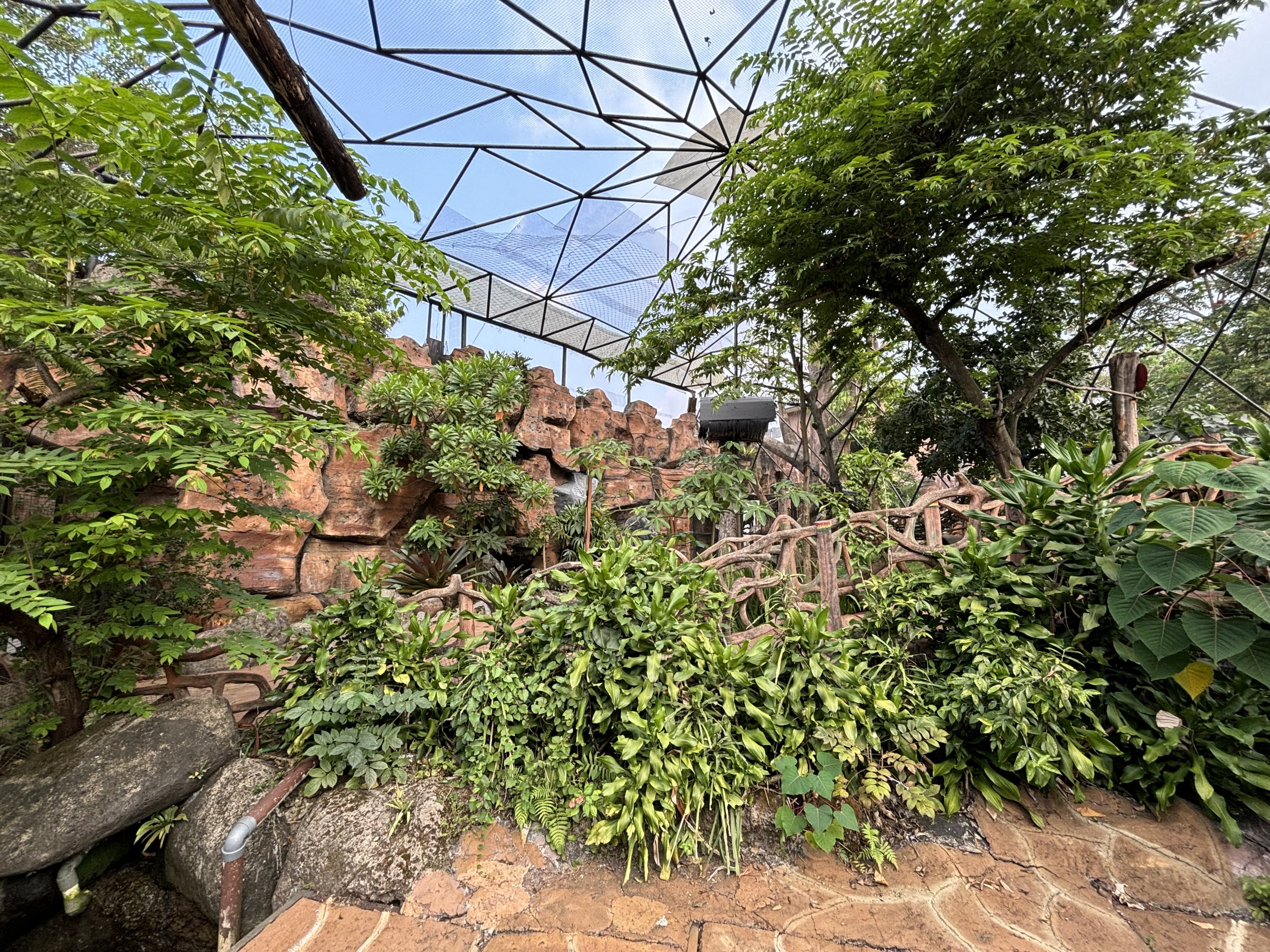 Ring-tailed Lemur Exhibit - Royal Safari Garden Resort