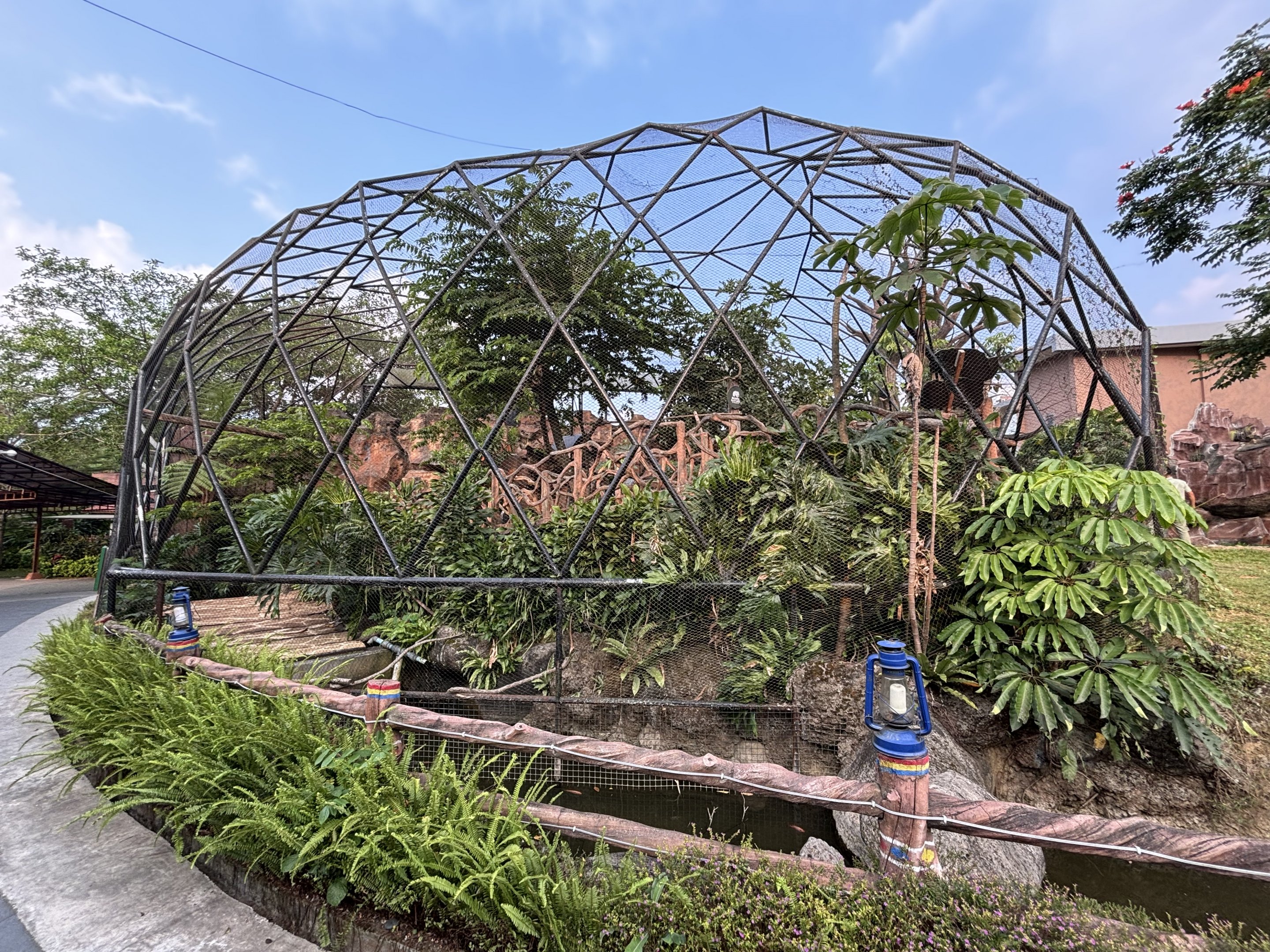 Ring-tailed Lemur Exhibit - Royal Safari Garden Resort