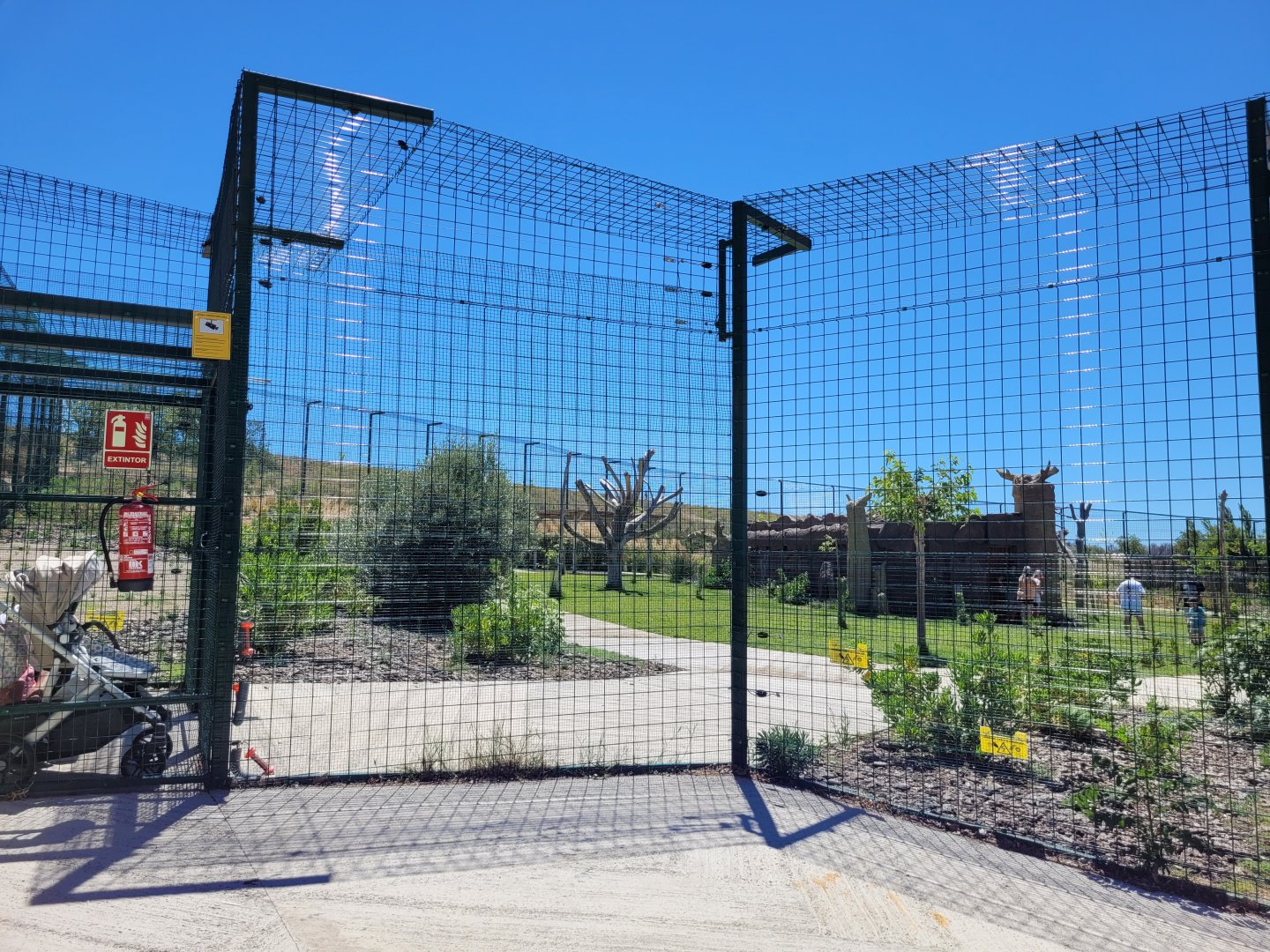 Ring-tailed lemur exhibit -Sendaviva (2024)