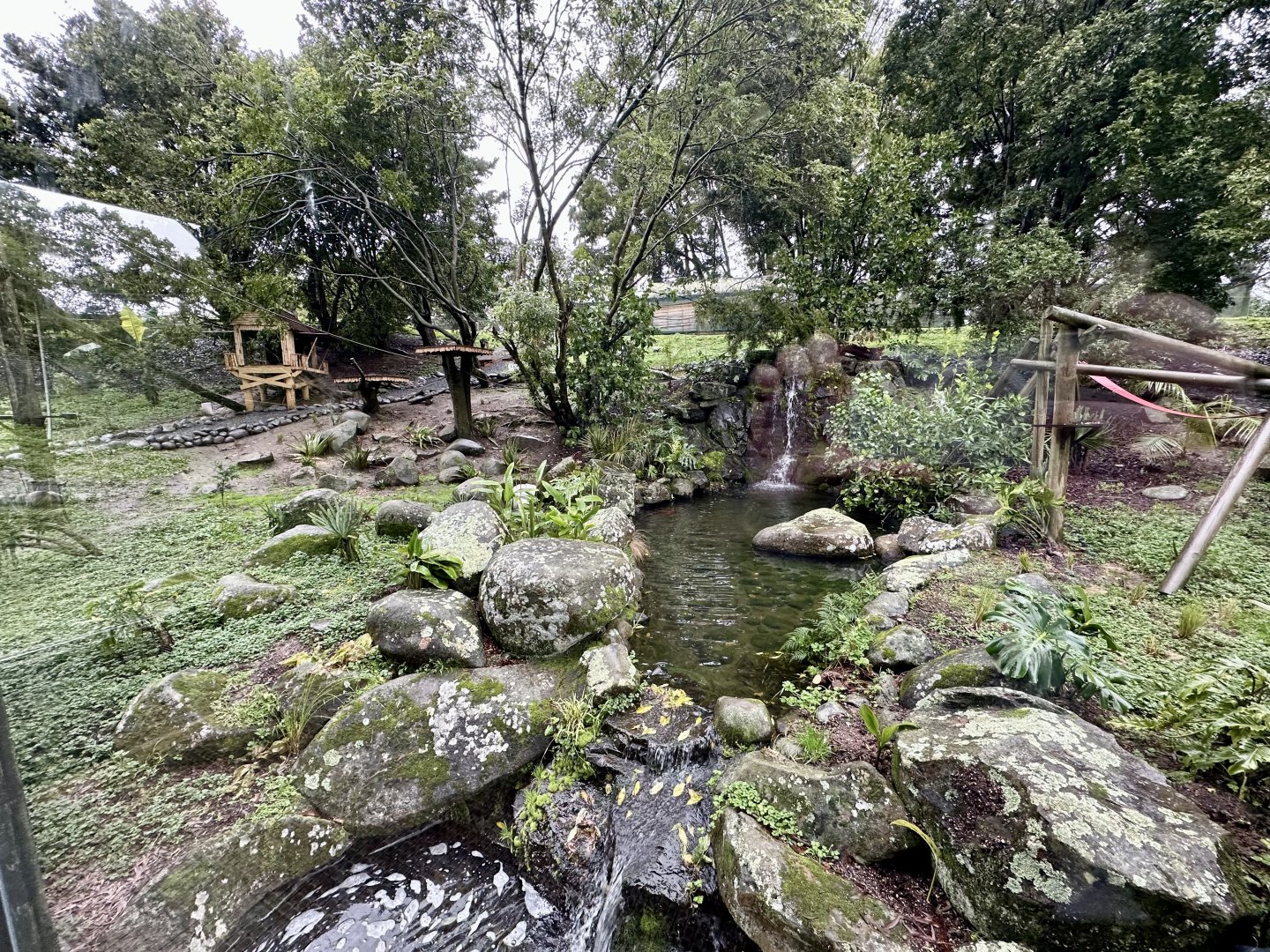 Ring-tailed Lemur Exhibit (Viewing Window)