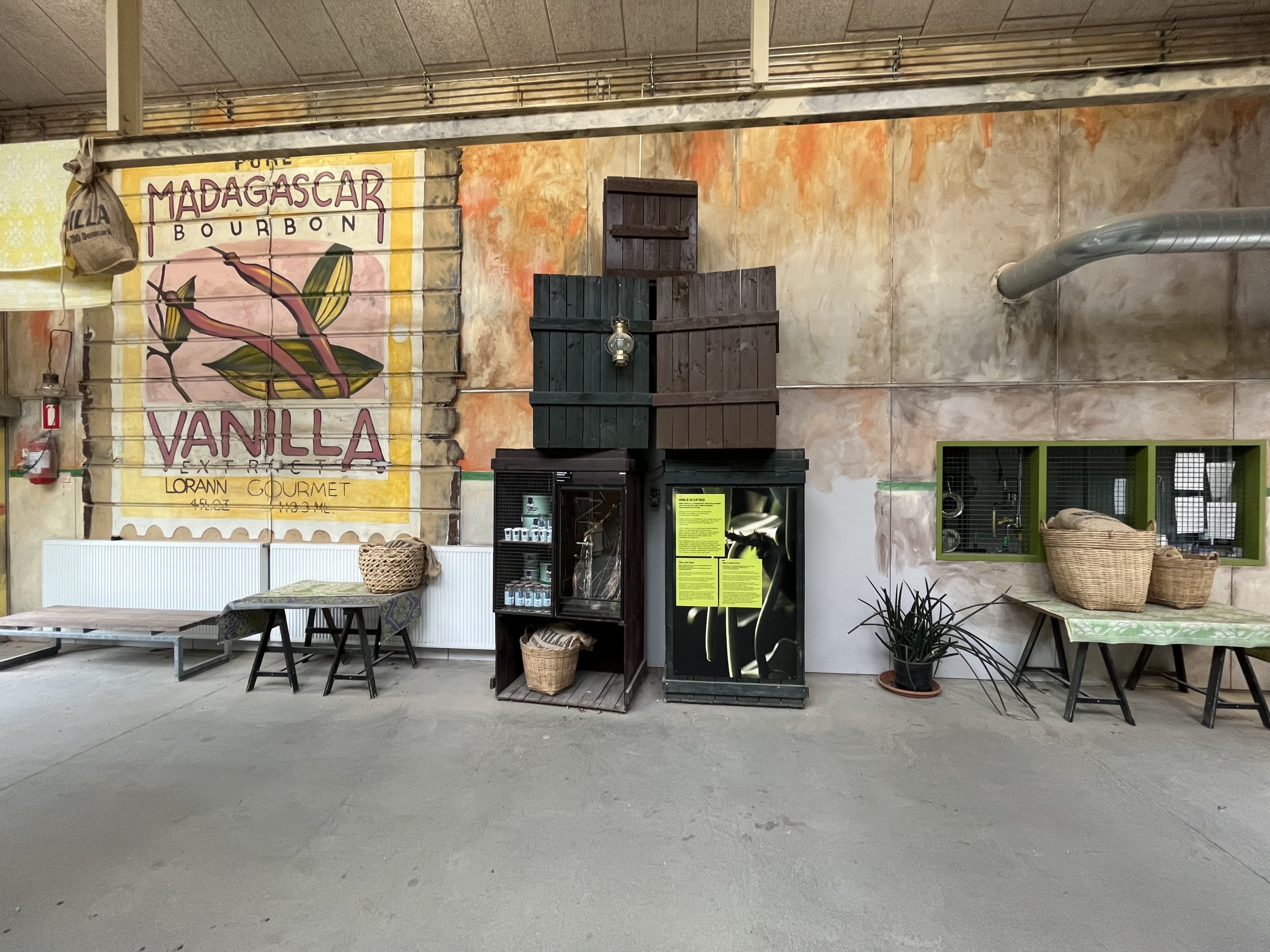 Ring-tailed Lemur Exhibit - visitor area