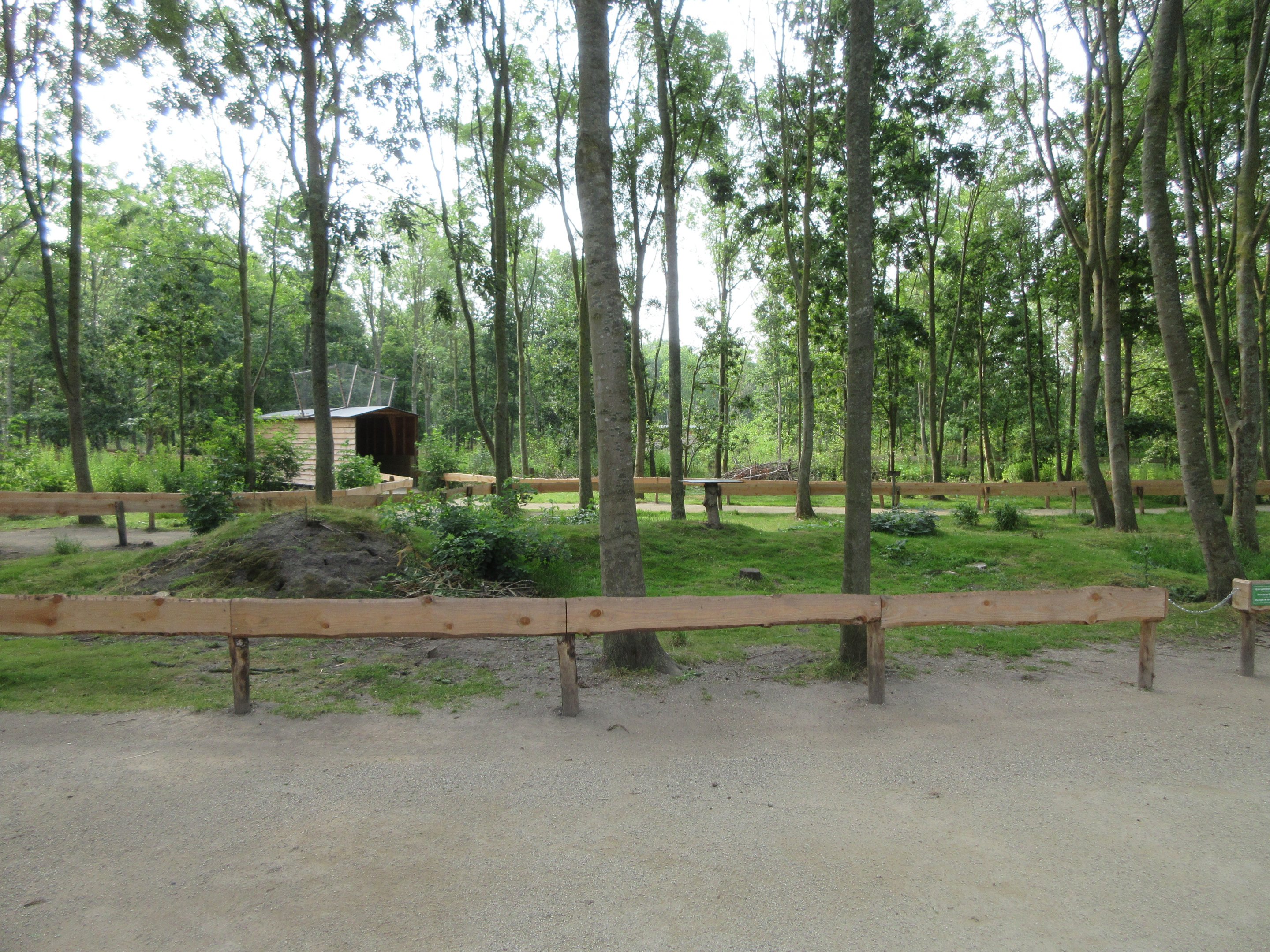 Ring-tailed Lemur Exhibit (walk-through)