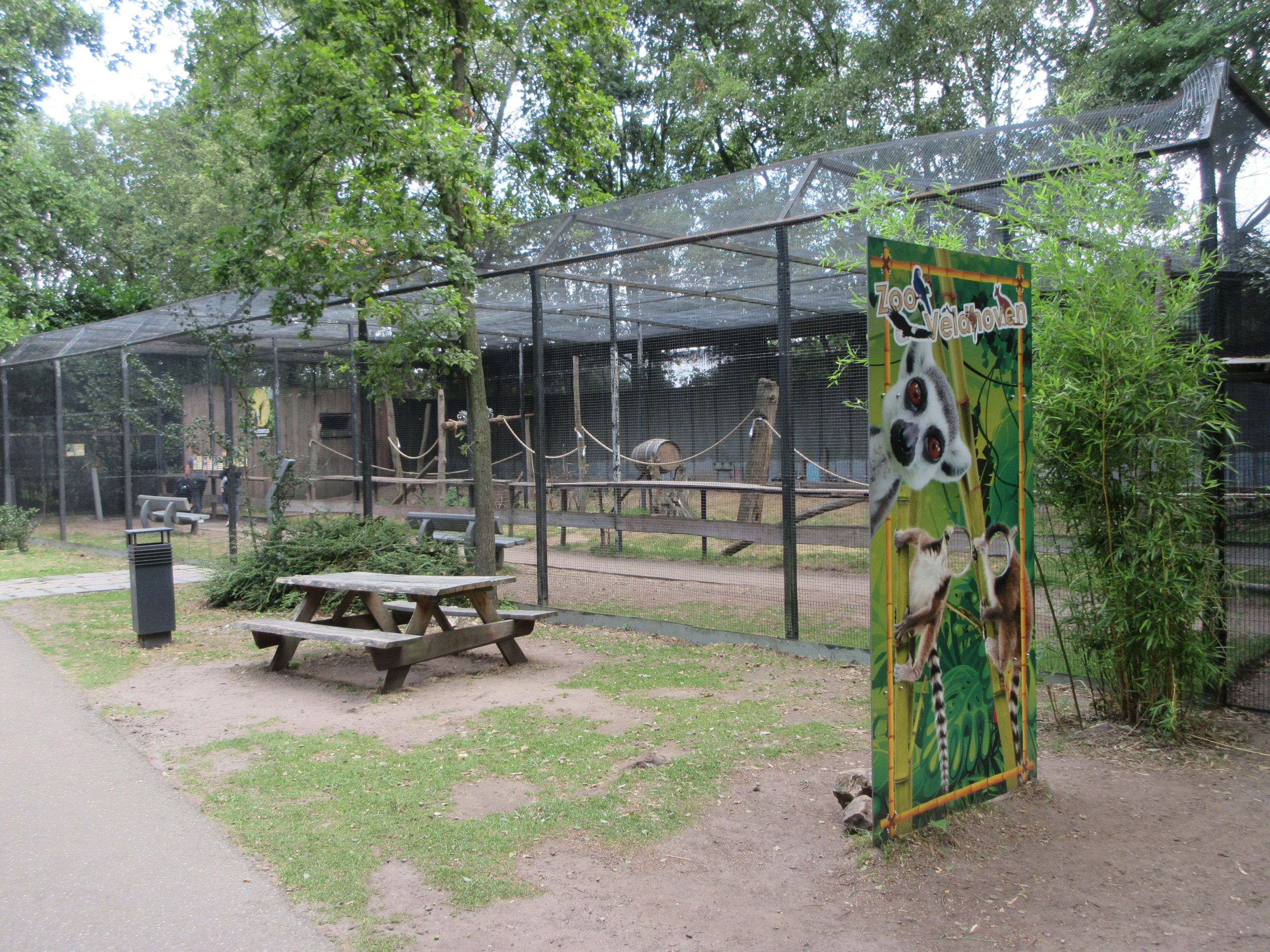 Ring-tailed Lemur Exhibit (walk-through)