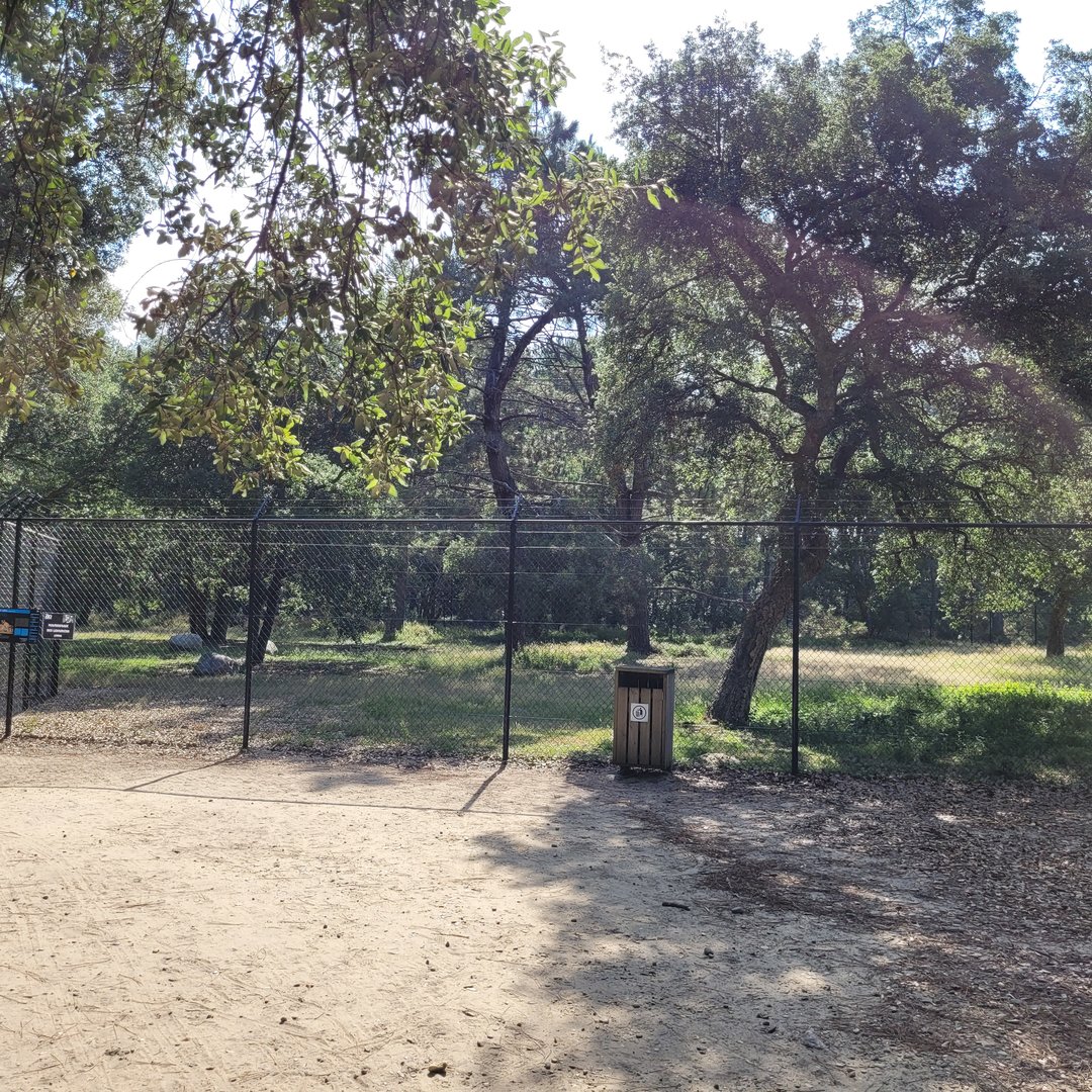 Ring-tailed lemur exhibit -Zoo de Labenne (2023)