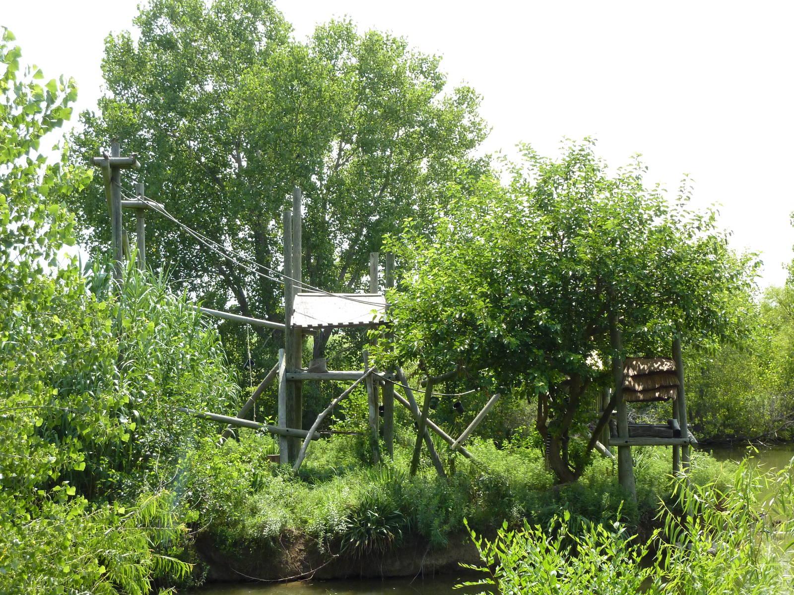 Ring-Tailed Lemur Exhibit