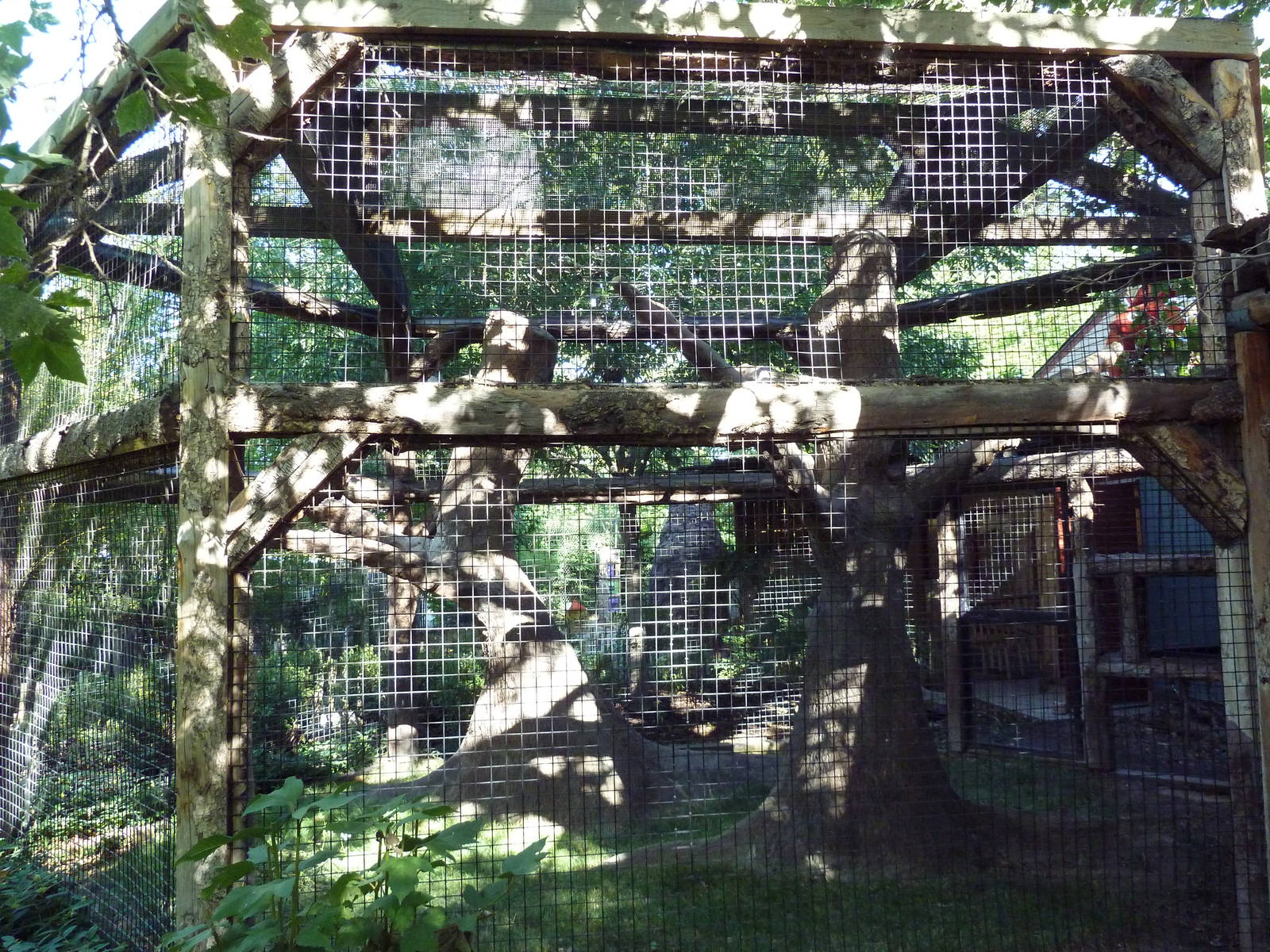 Ring-Tailed Lemur Exhibit