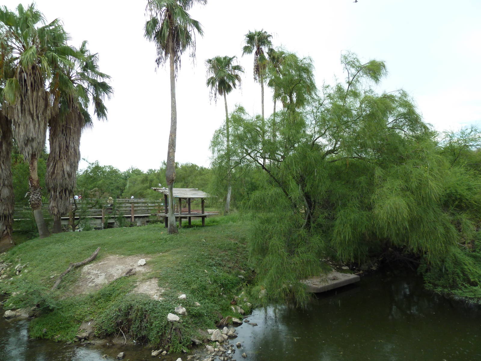 Ring-Tailed Lemur Exhibit