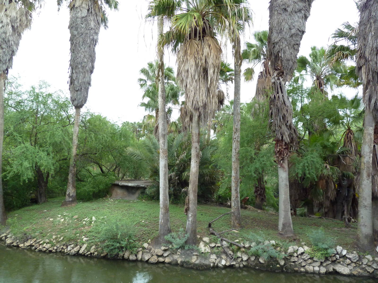 Ring-Tailed Lemur Exhibit