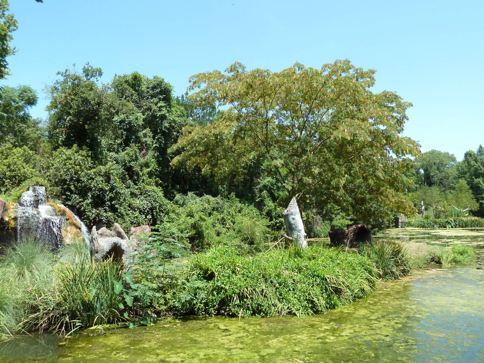 Ring-Tailed Lemur Exhibit
