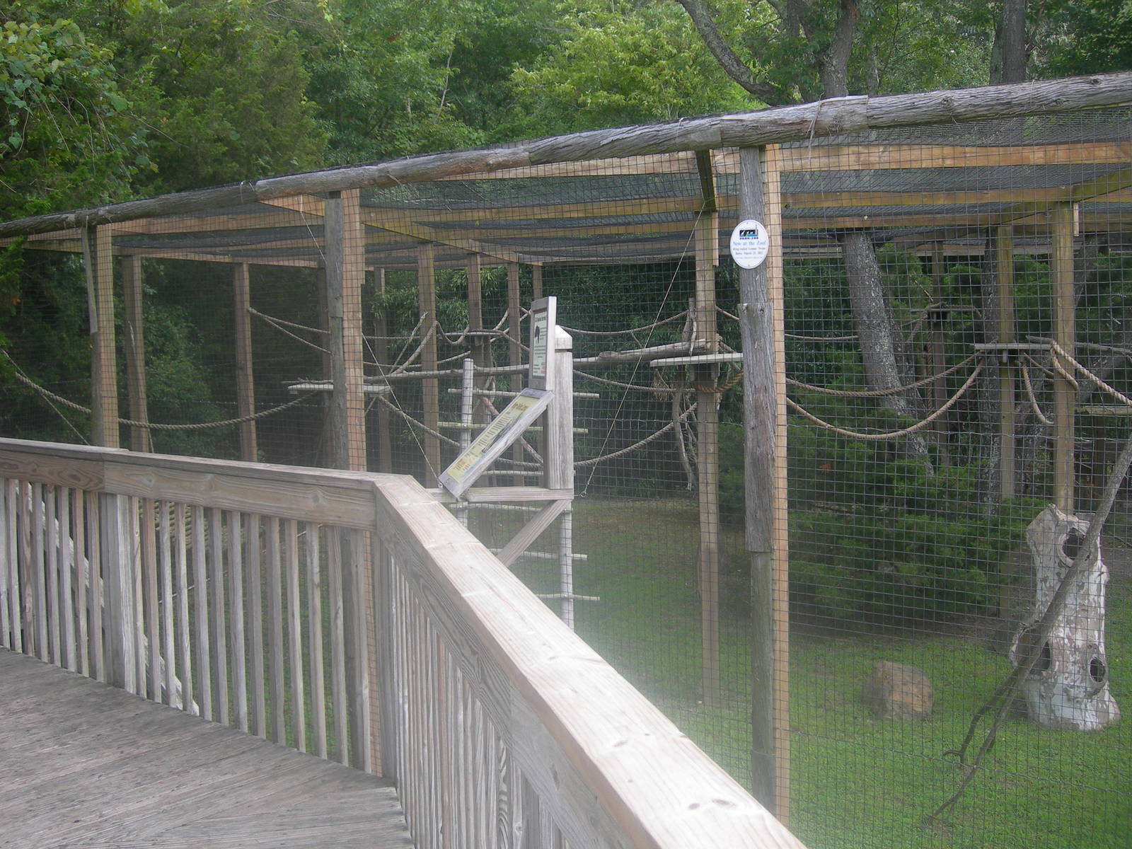 Ring tailed Lemur Exhibit