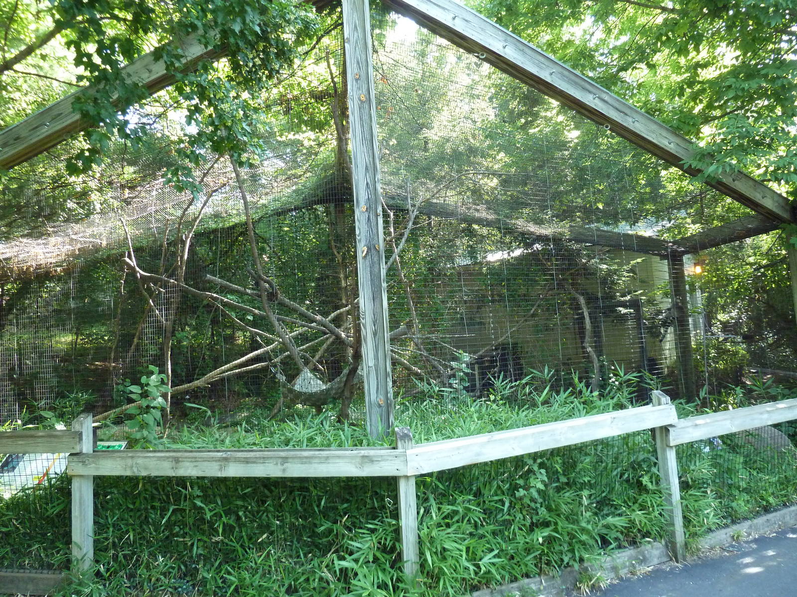 Ring-Tailed Lemur Exhibit