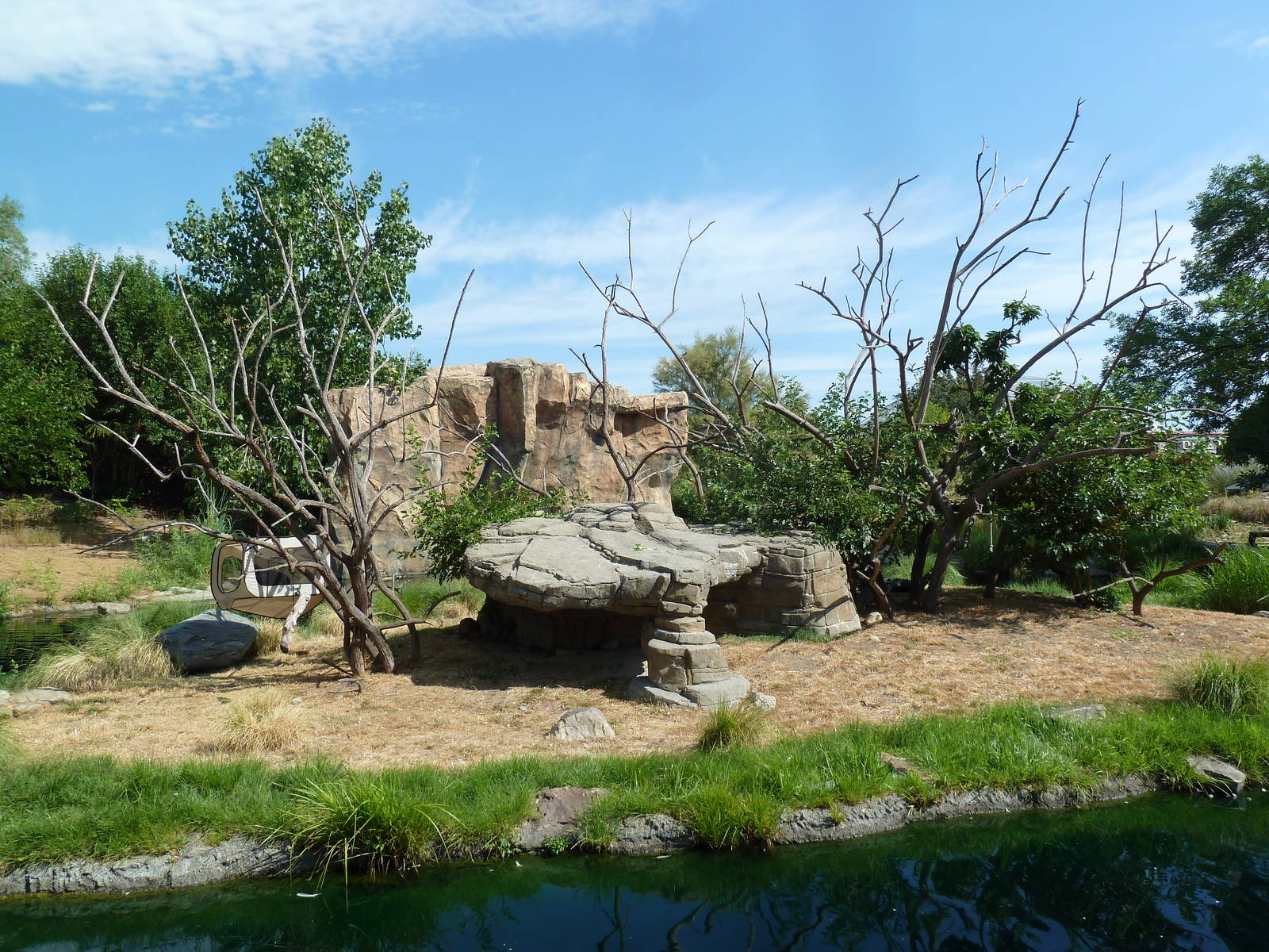 Ring-Tailed Lemur Exhibit