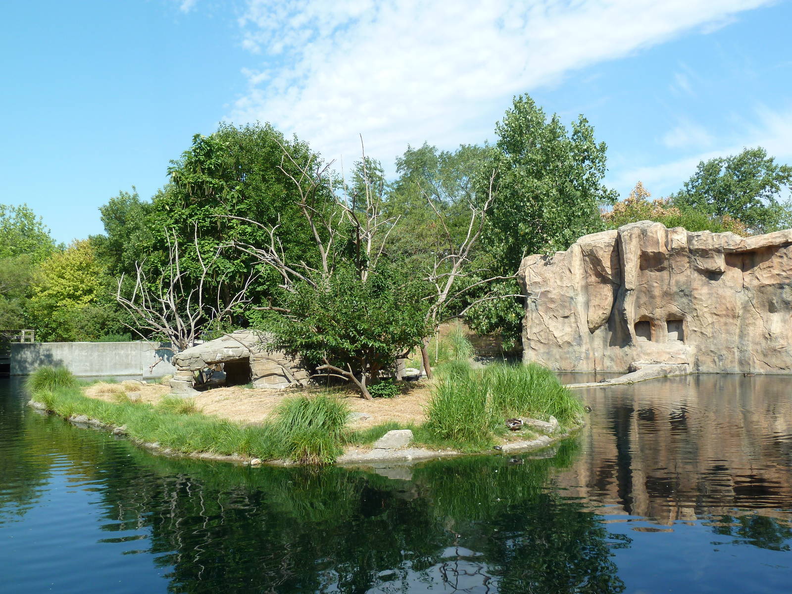 Ring-Tailed Lemur Exhibit