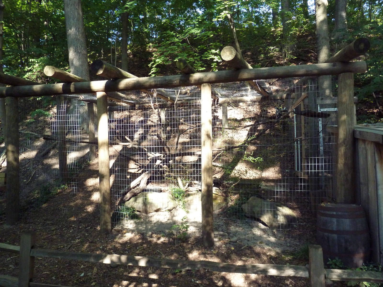 Ring-Tailed Lemur Exhibit
