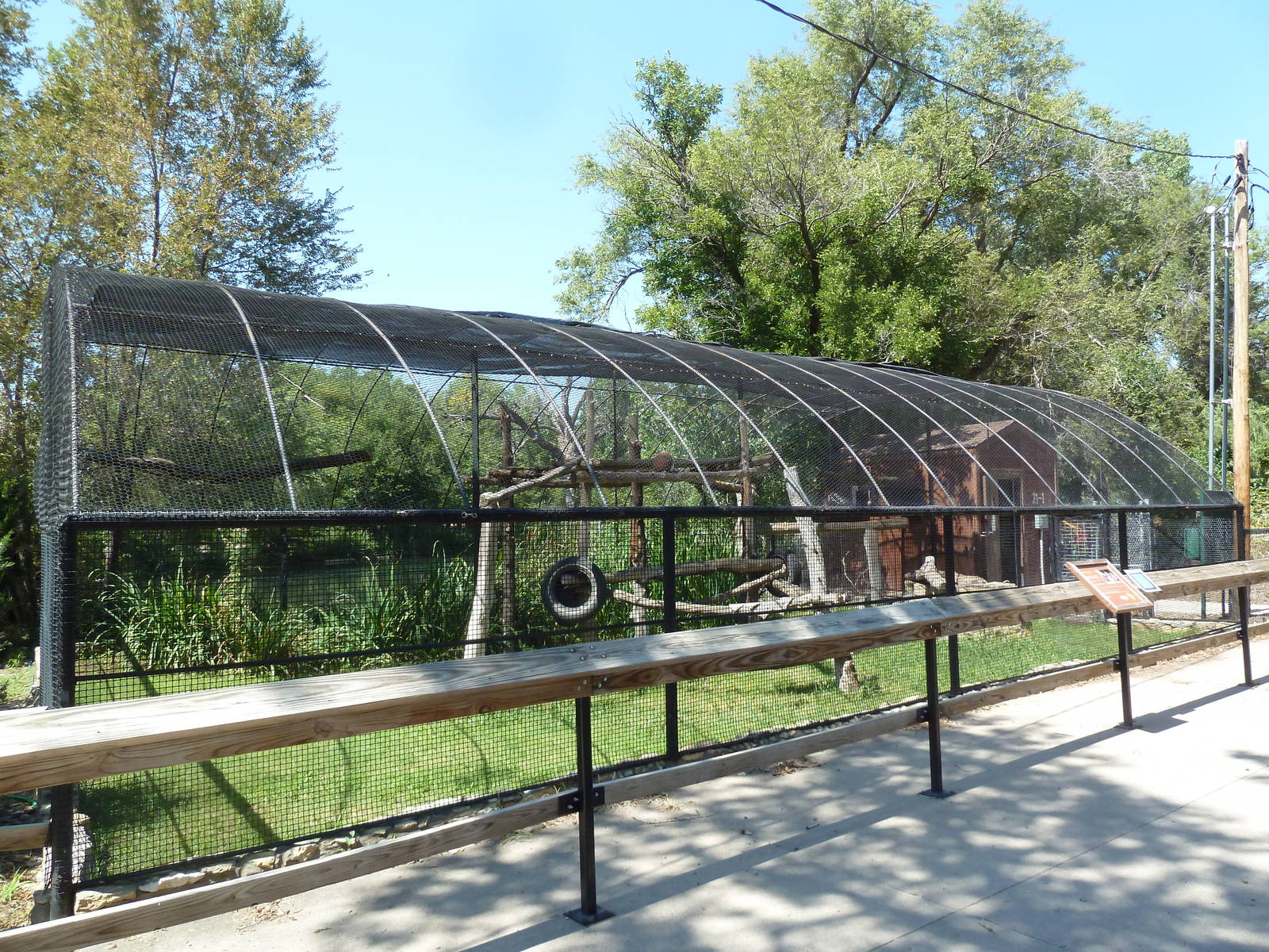 Ring-Tailed Lemur Exhibit
