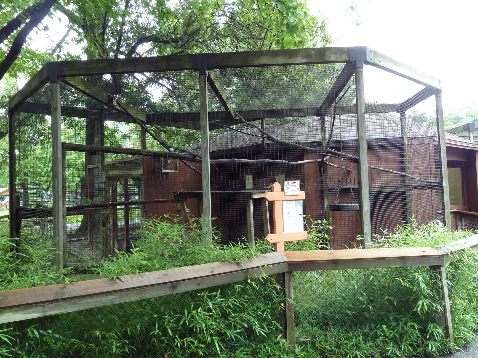 Ring-Tailed Lemur Exhibit