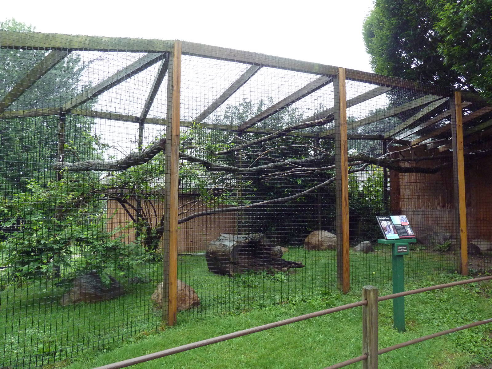 Ring-Tailed Lemur Exhibit