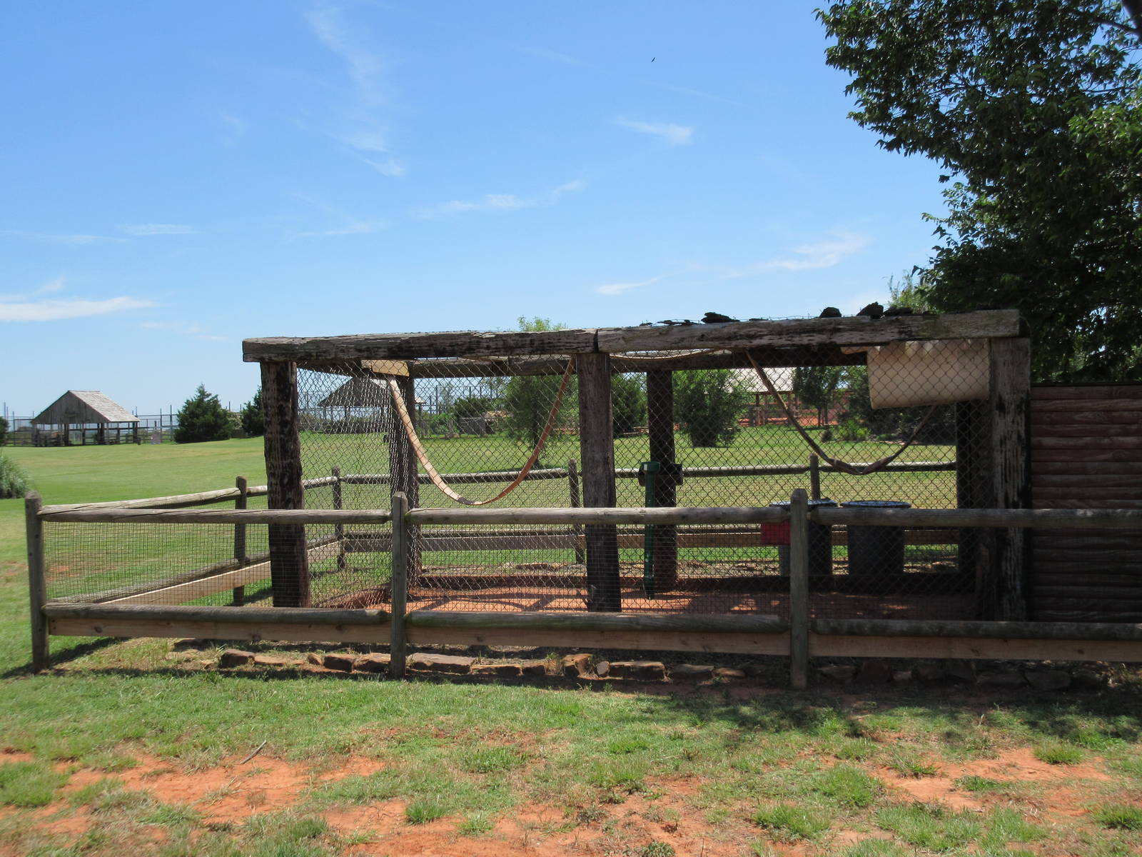 Ring-Tailed Lemur Exhibit
