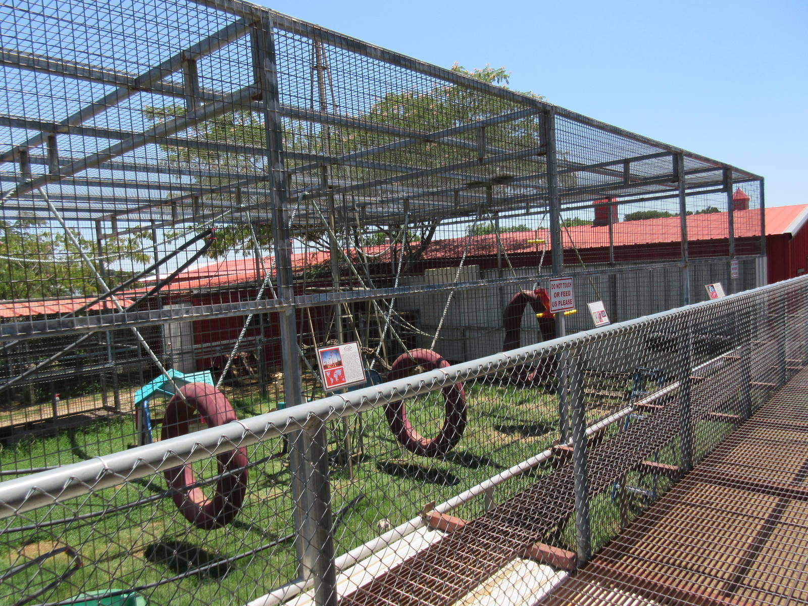 Ring-Tailed Lemur Exhibit