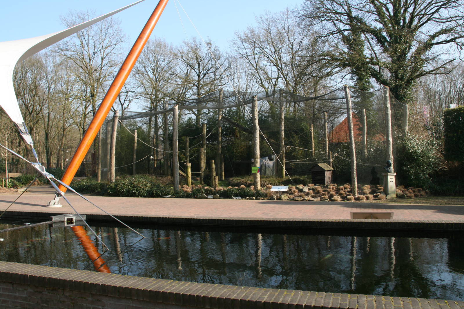 Ring-tailed lemur exhibit