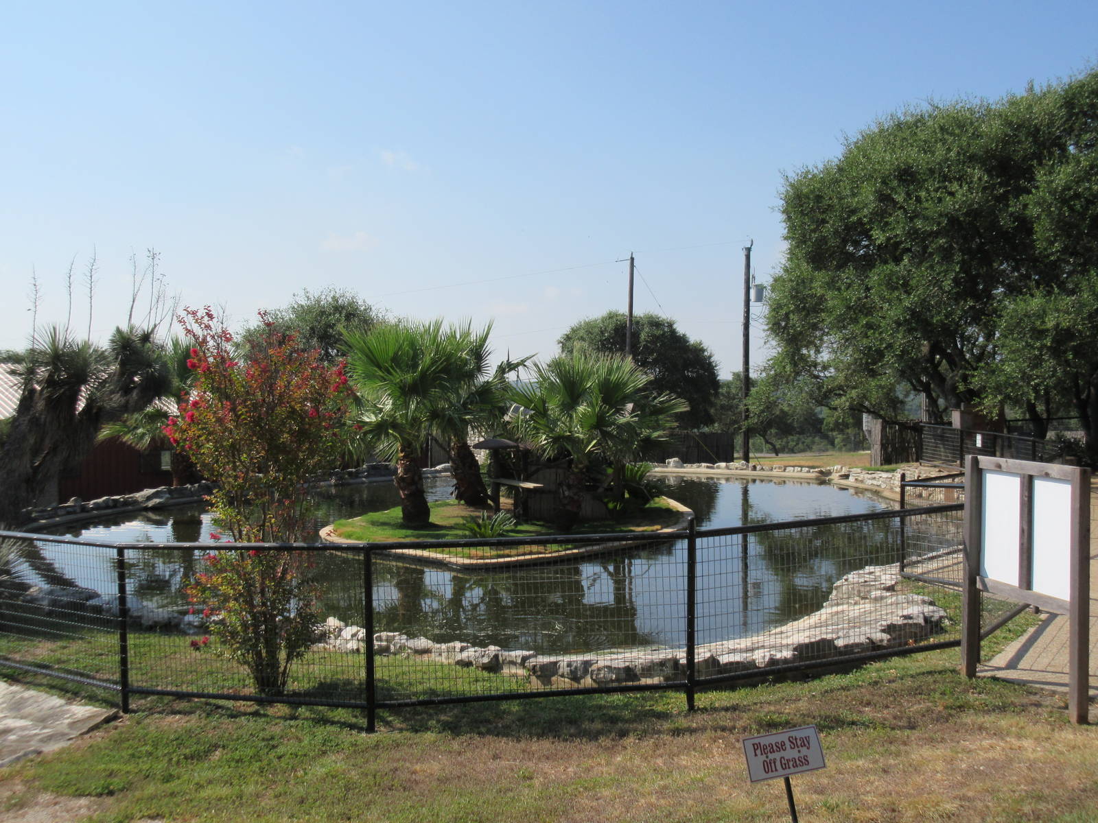Ring-Tailed Lemur Exhibit