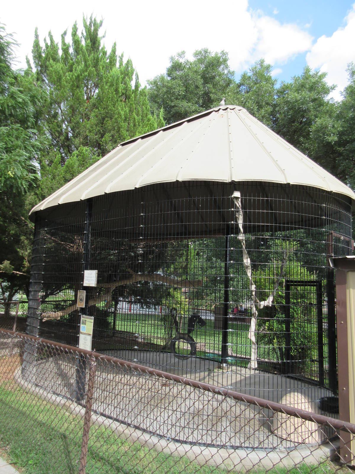 Ring-Tailed Lemur Exhibit