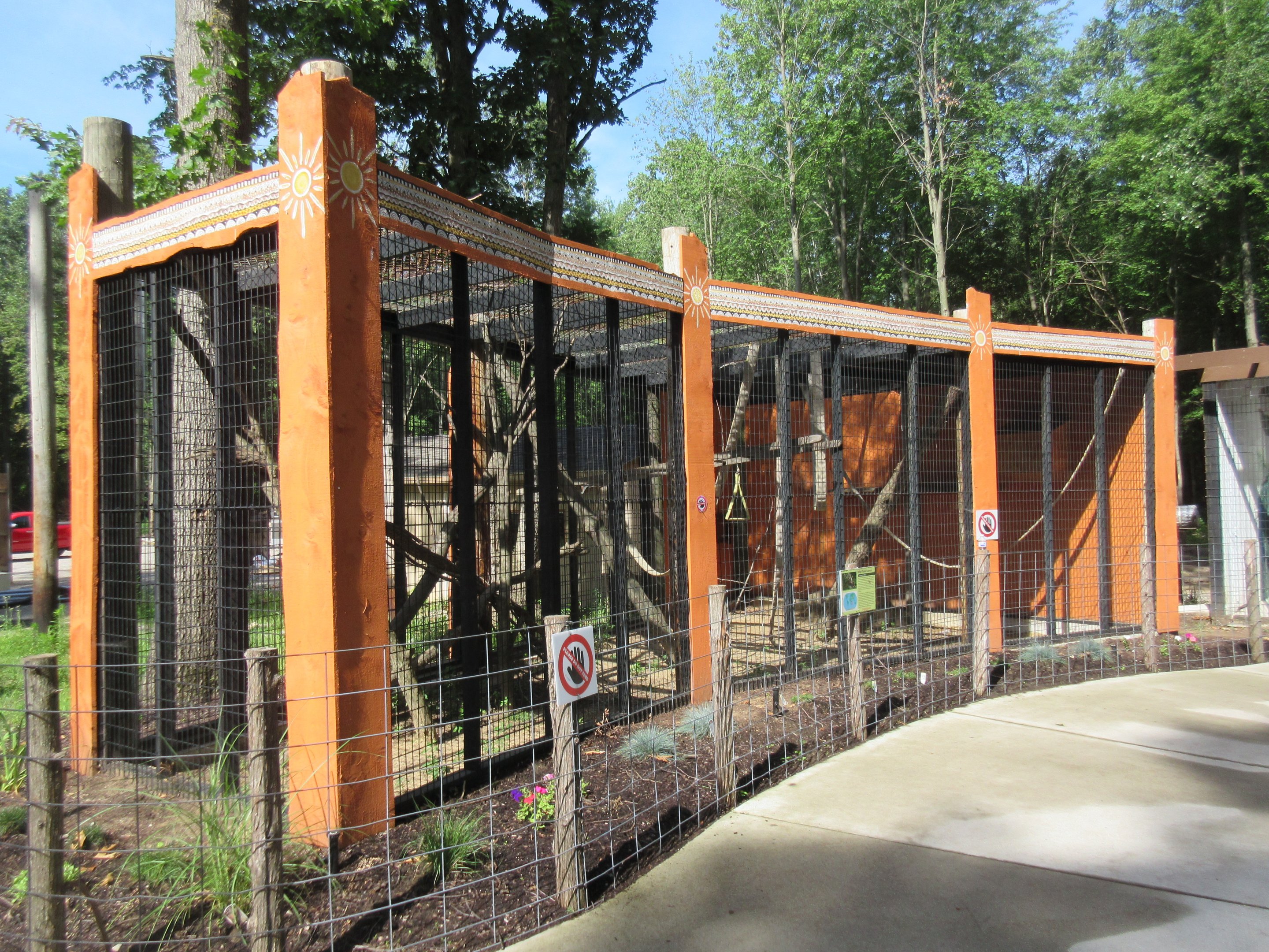 Ring-tailed Lemur Exhibit