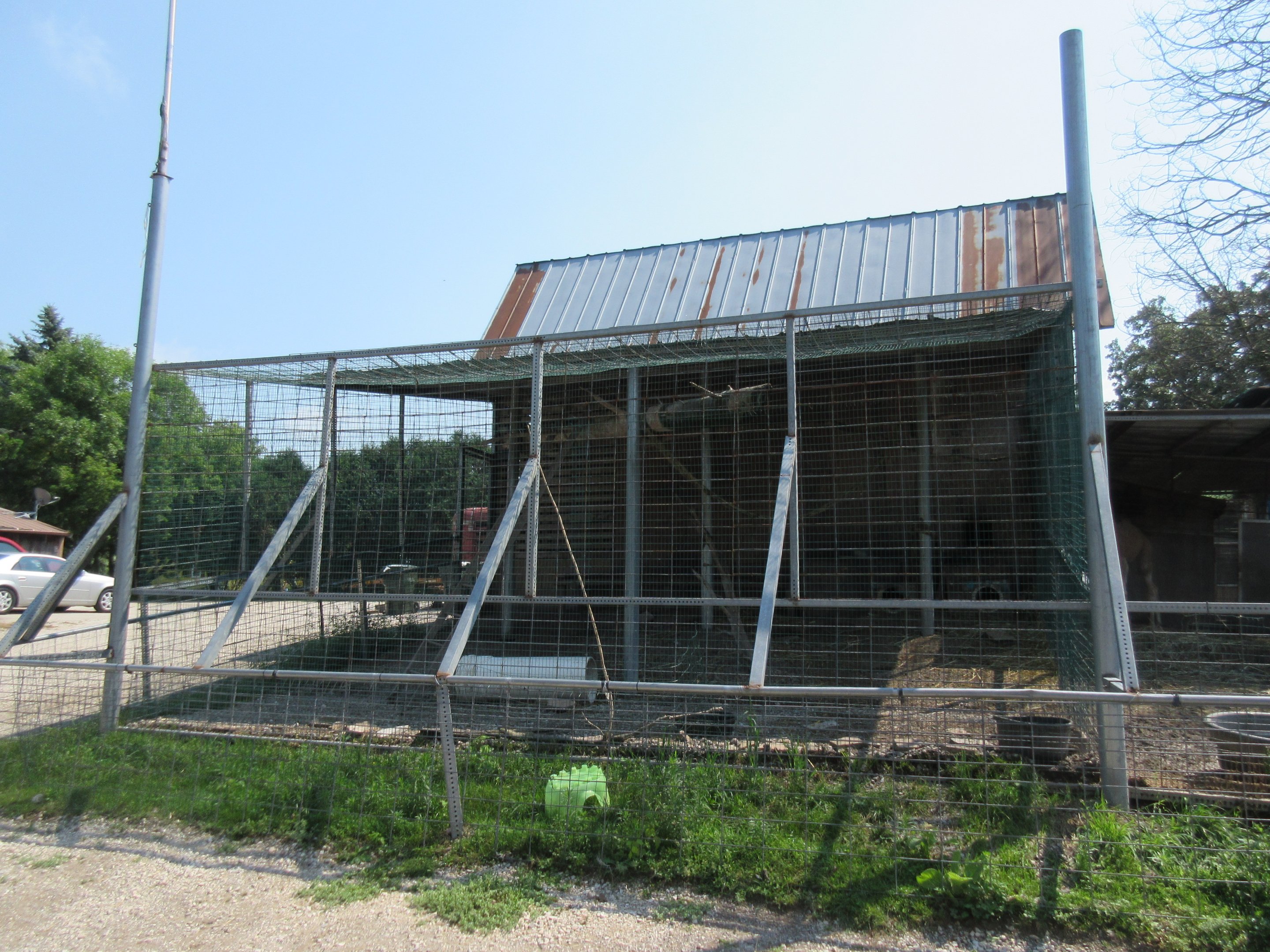 Ring-tailed Lemur Exhibit