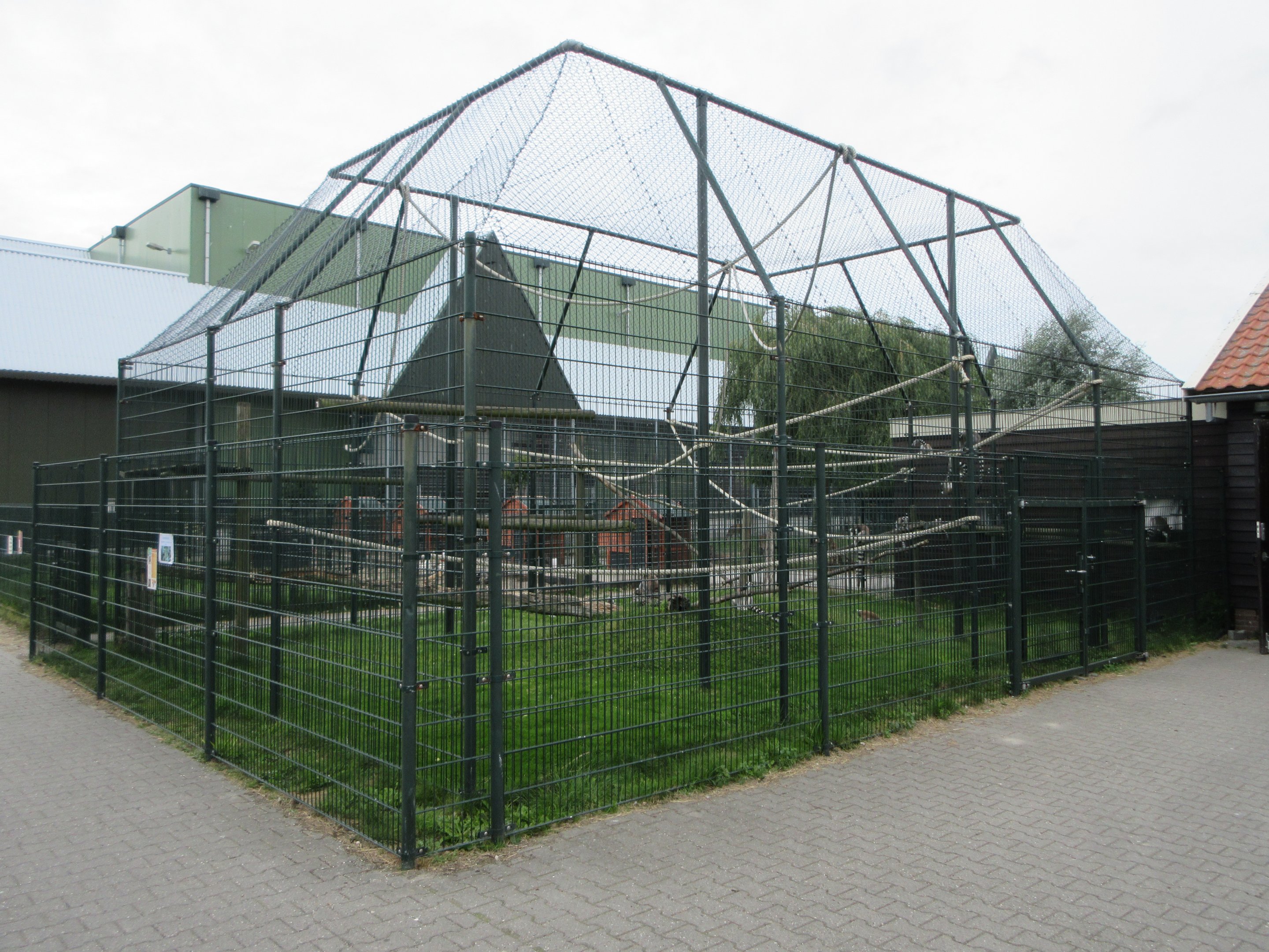 Ring-tailed Lemur Exhibit