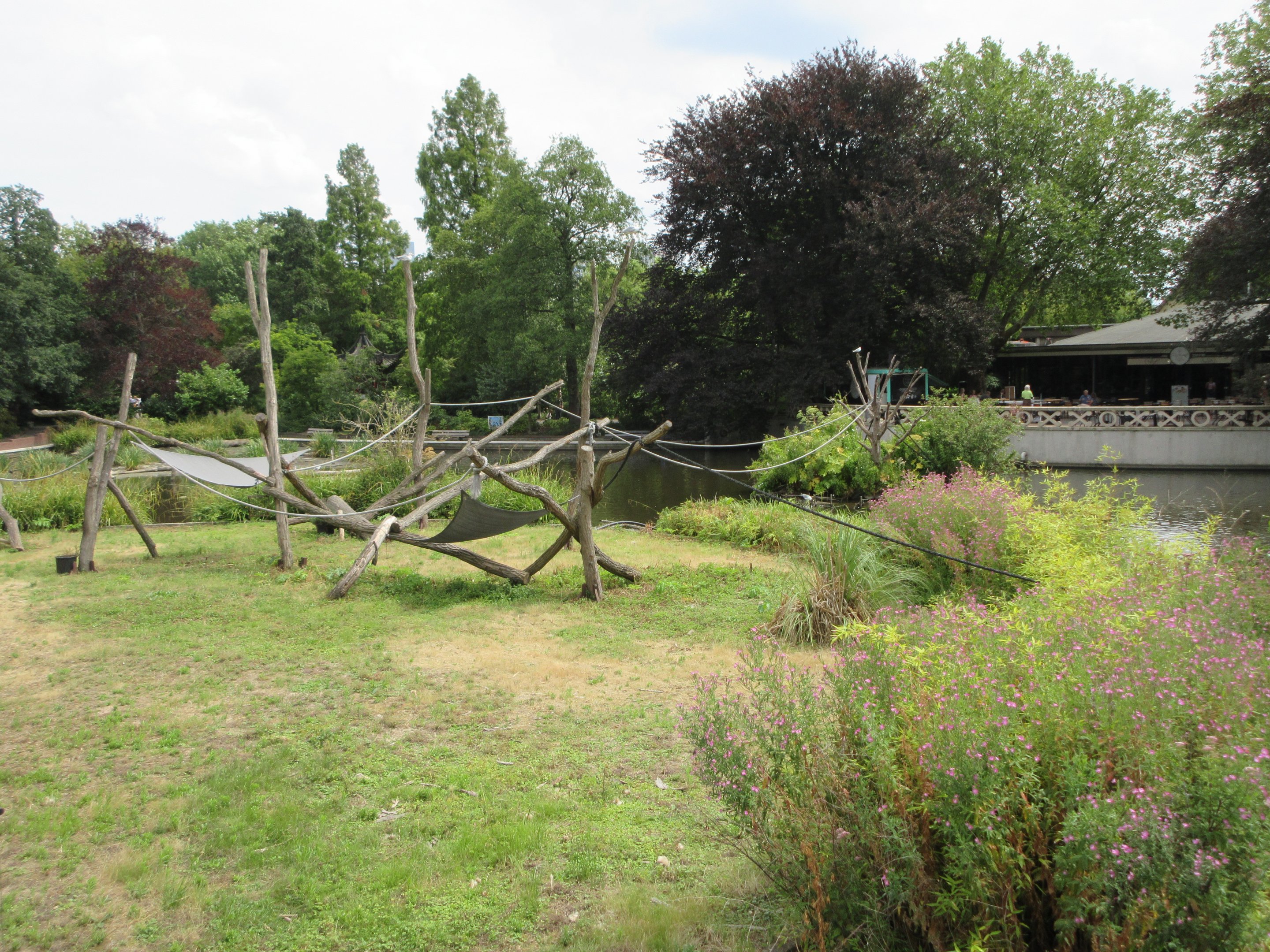 Ring-tailed Lemur Exhibit