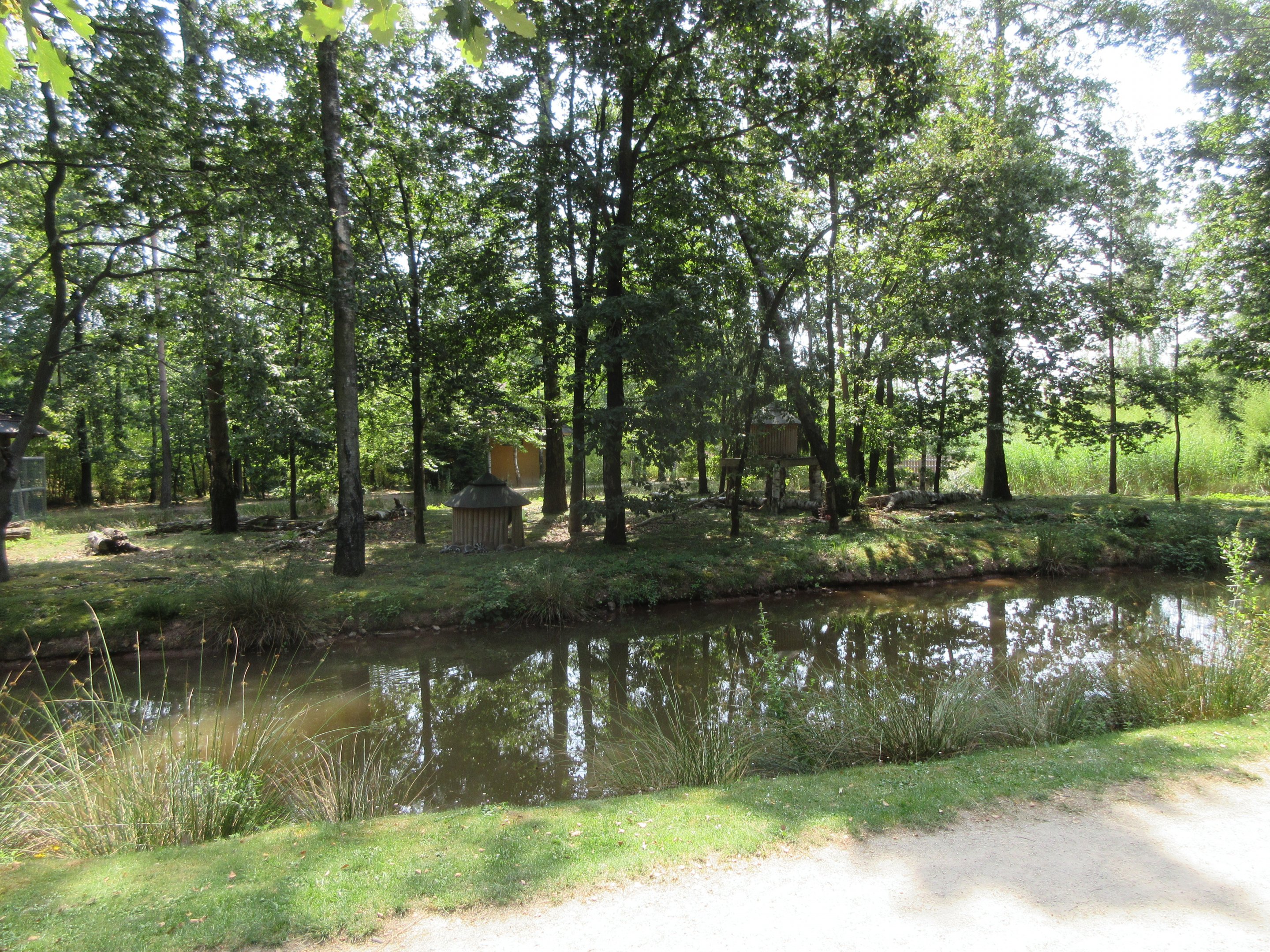 Ring-tailed Lemur Exhibit