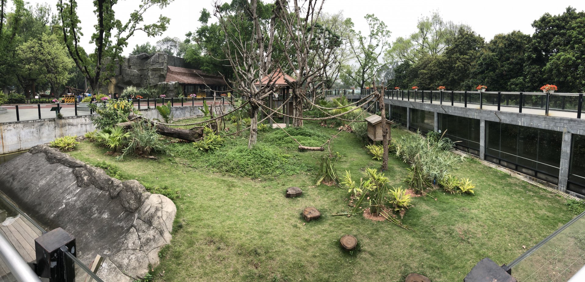 Ring Tailed Lemur Exhibit
