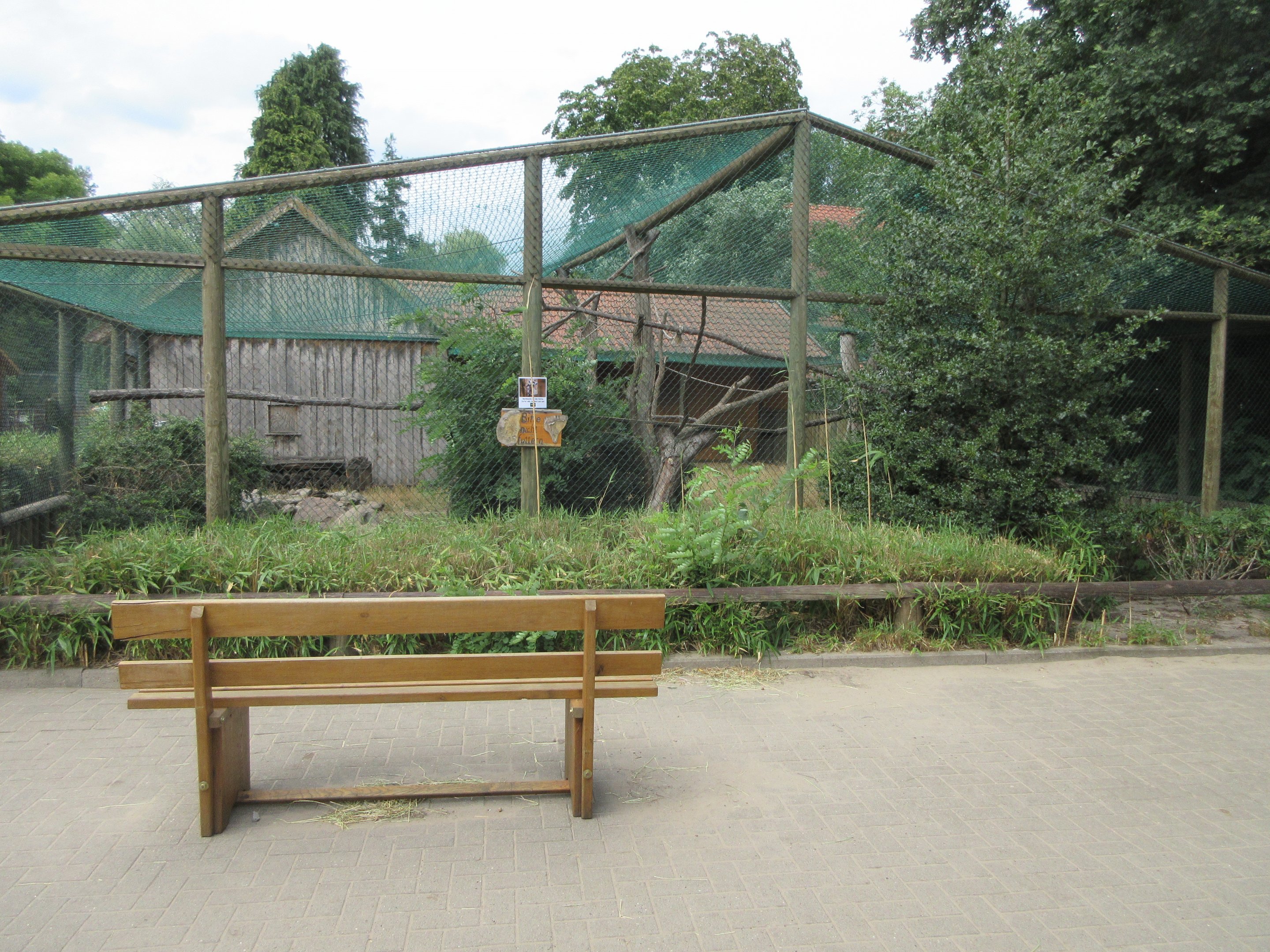 Ring-tailed Lemur Exhibit