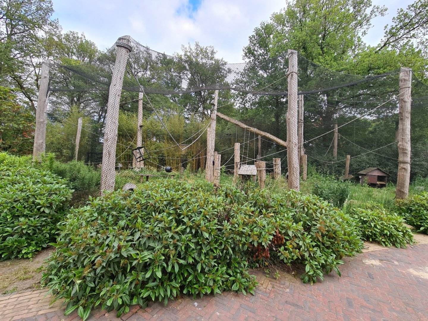 Ring-tailed lemur exhibit
