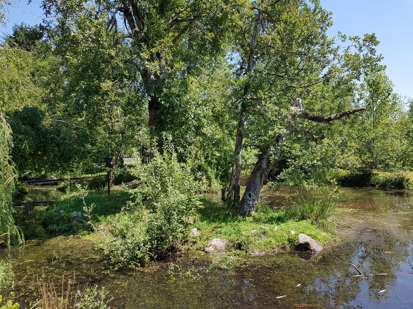Ring-Tailed Lemur Exhibit