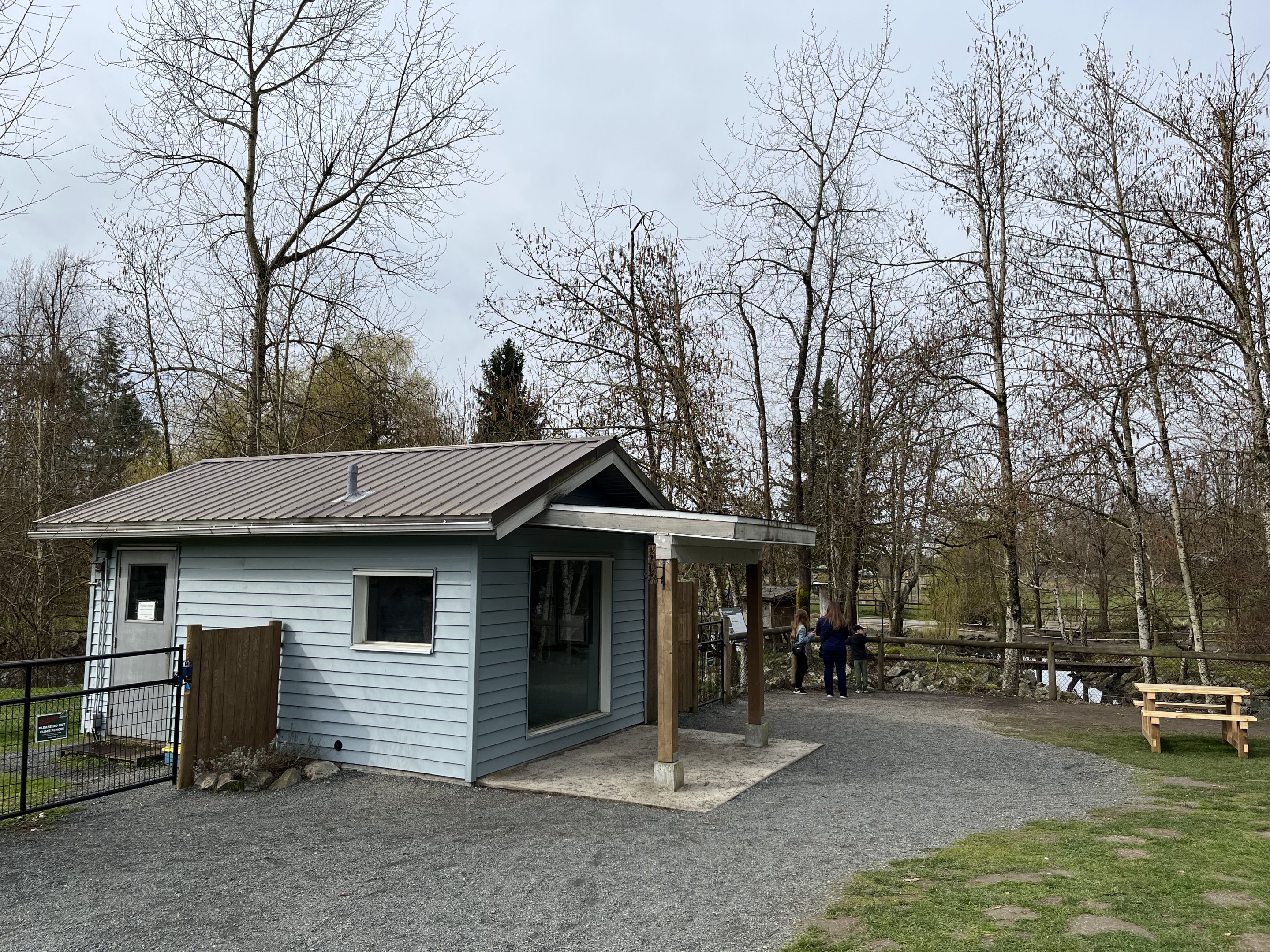 Ring-tailed Lemur Exhibit