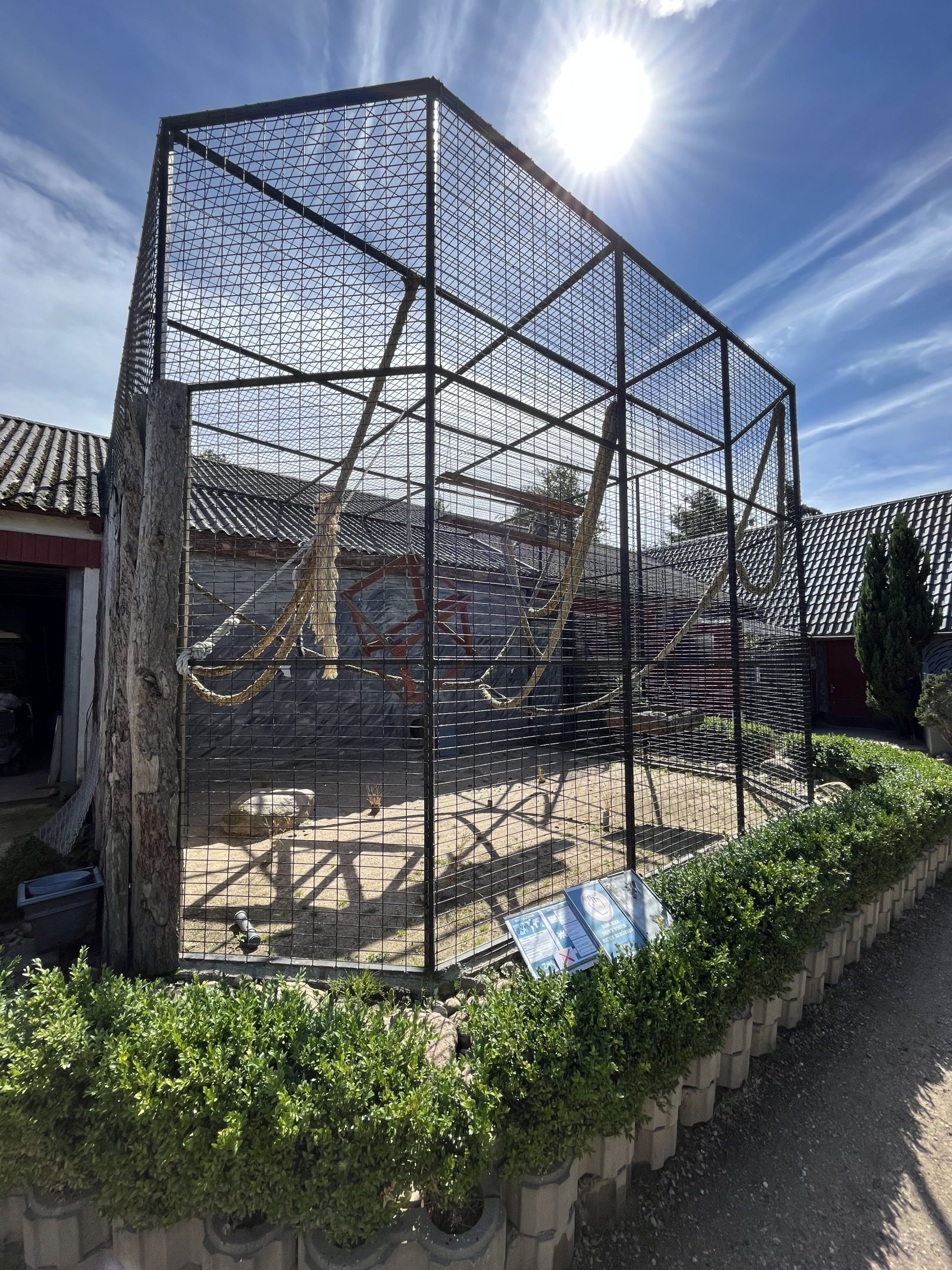 Ring-tailed Lemur Exhibit