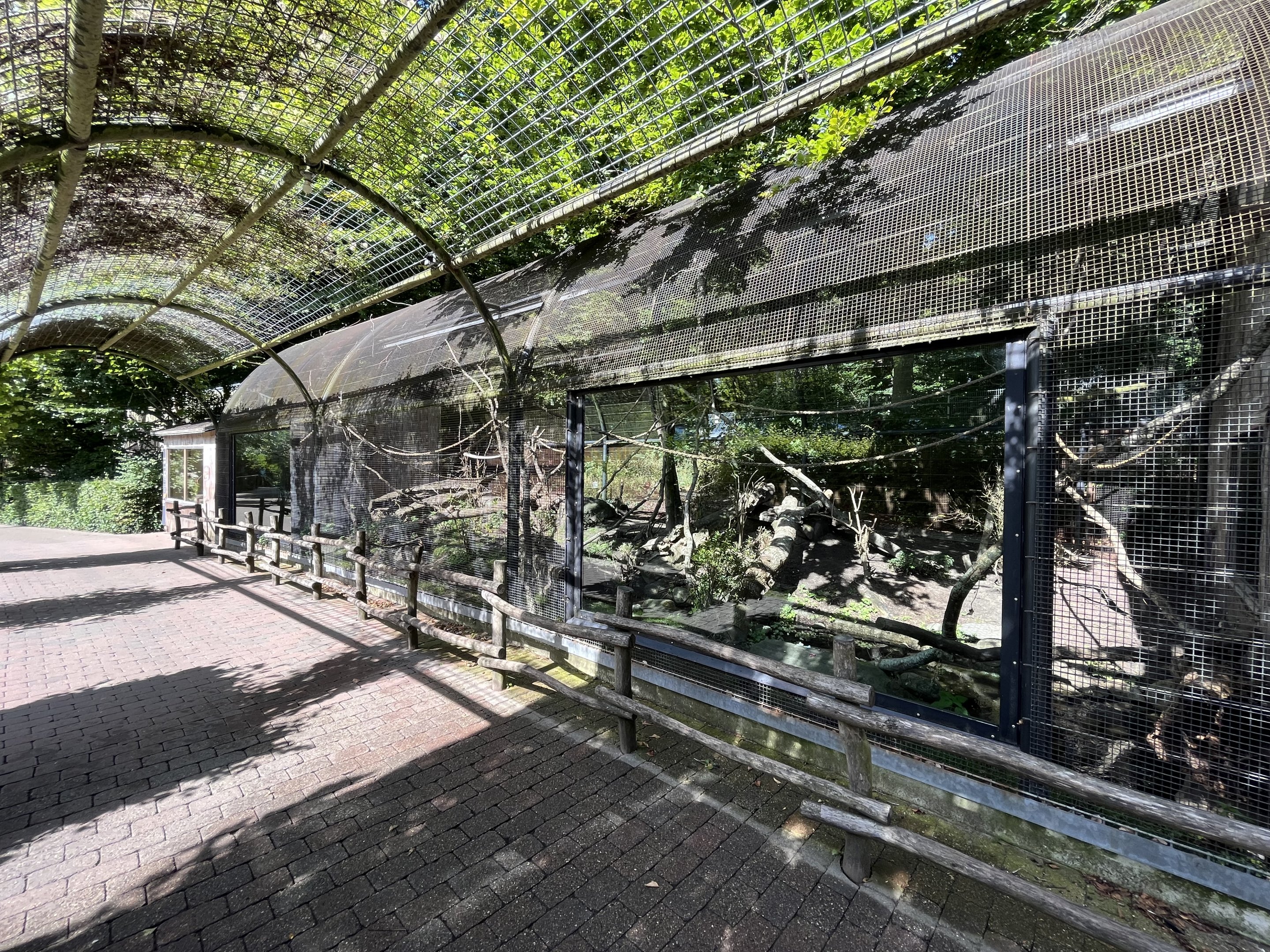 Ring-tailed Lemur Exhibit