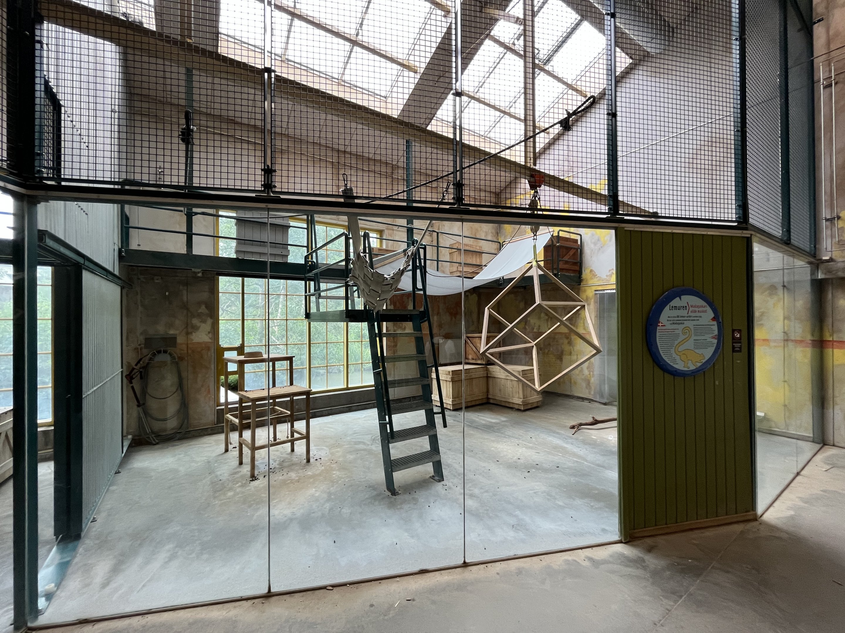 Ring-tailed Lemur Exhibit