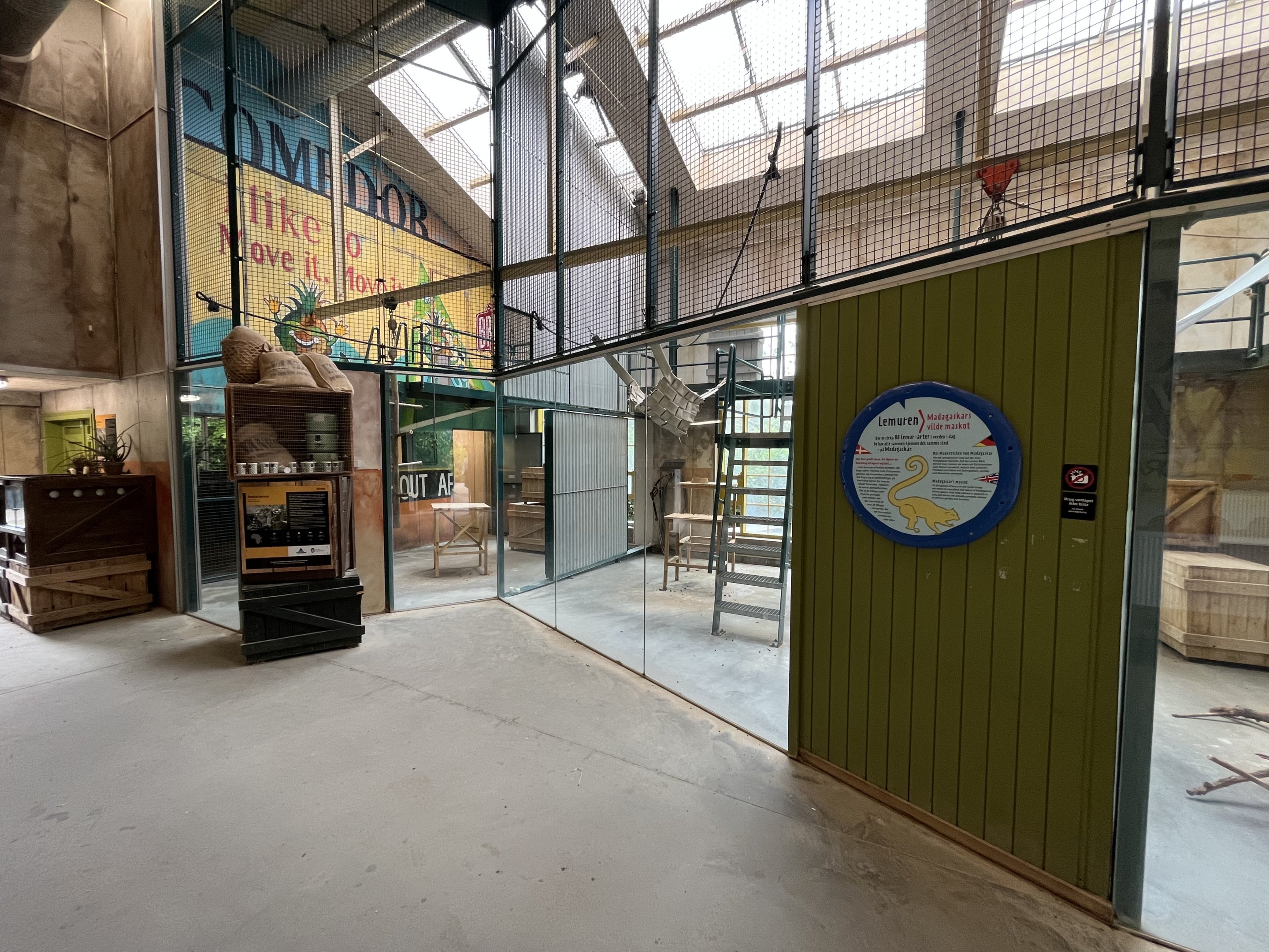 Ring-tailed Lemur Exhibit