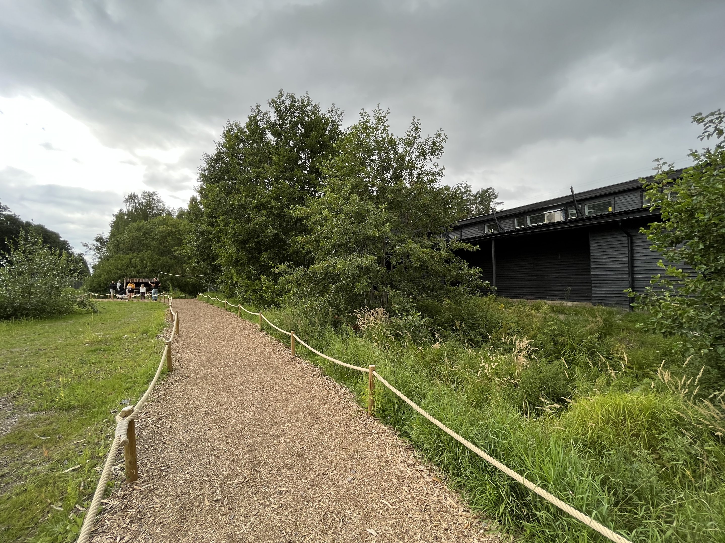 Ring-tailed Lemur Exhibit