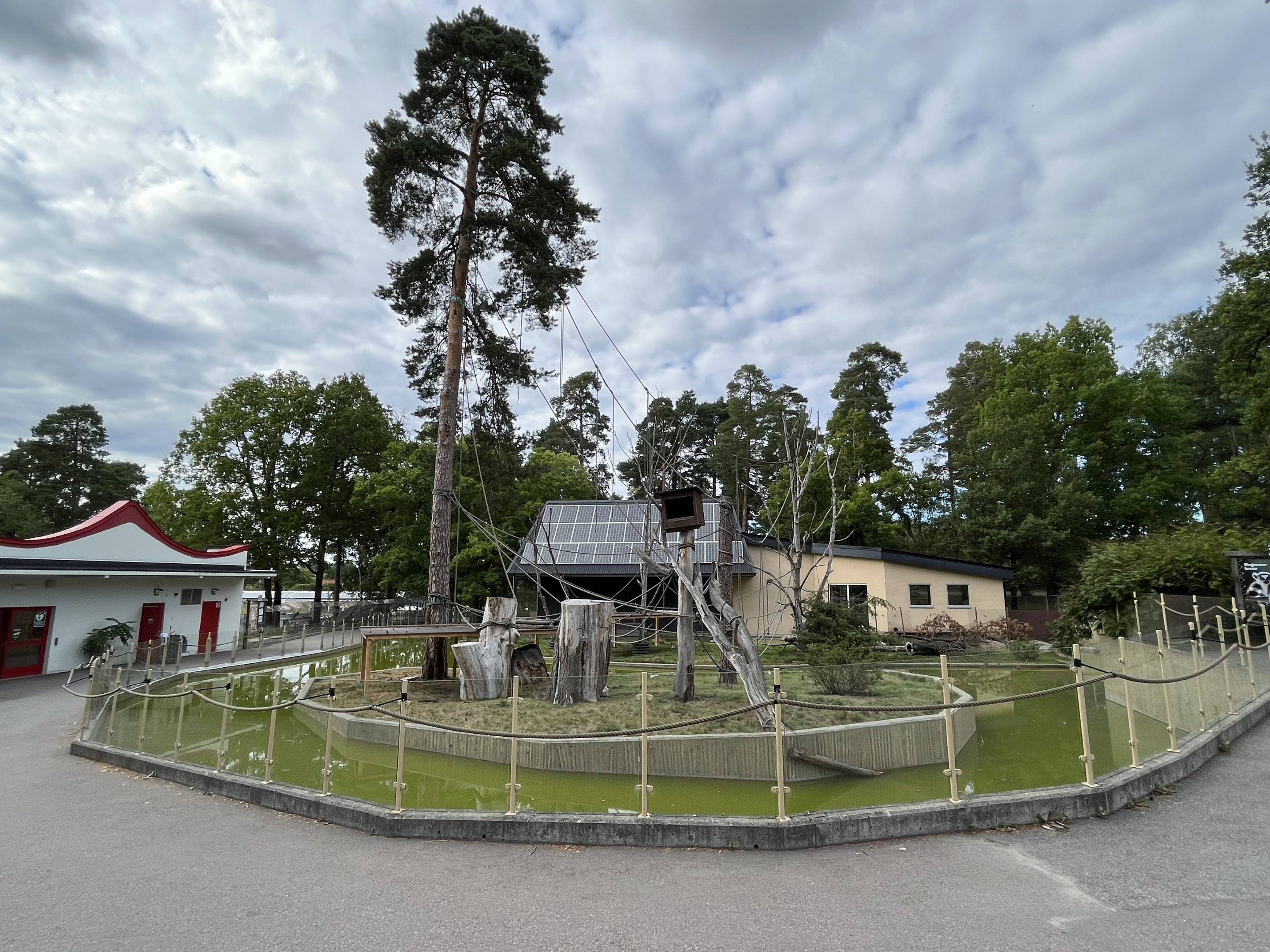 Ring-tailed Lemur Exhibit
