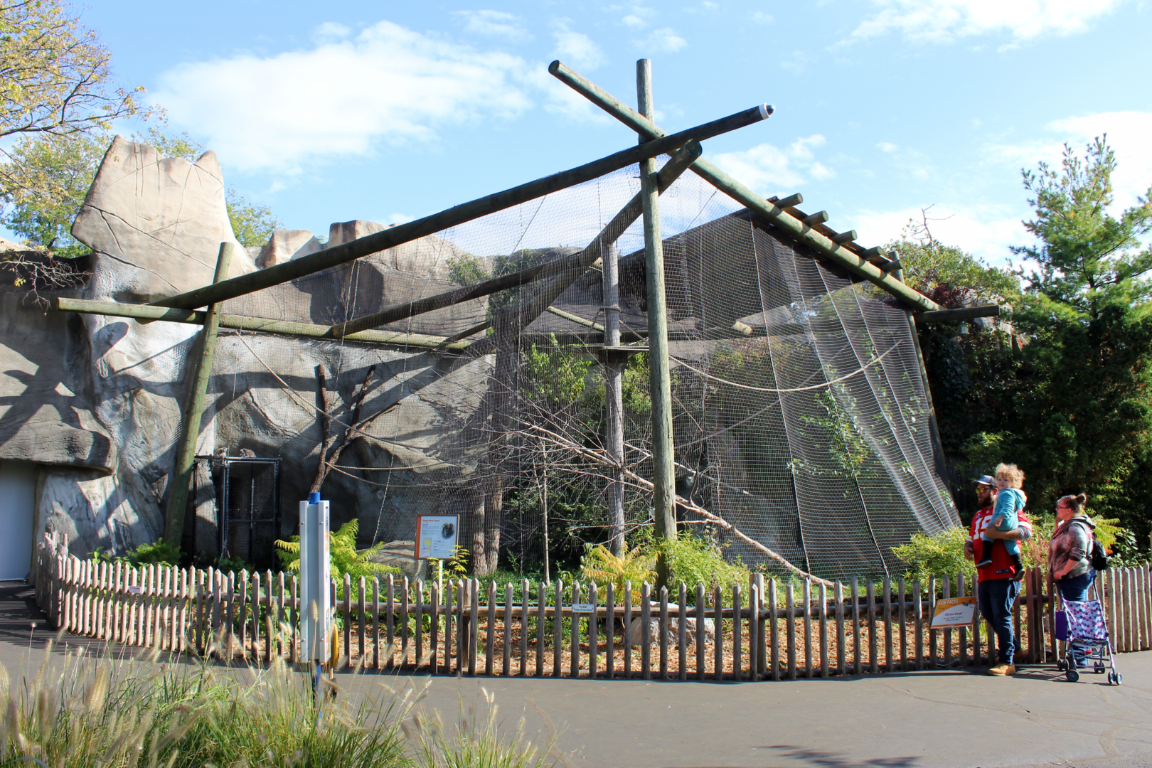 Ring-tailed Lemur Exhibit