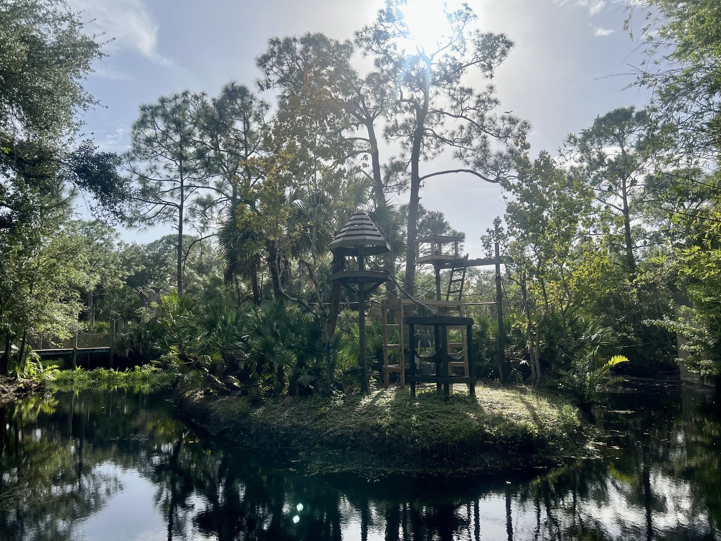Ring-tailed Lemur Exhibit