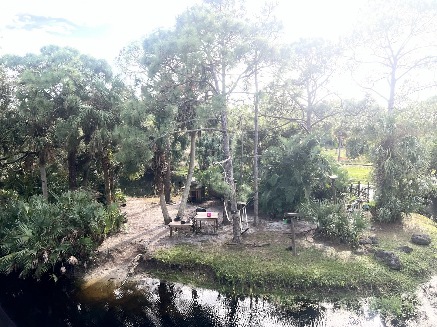 Ring-tailed Lemur Exhibit